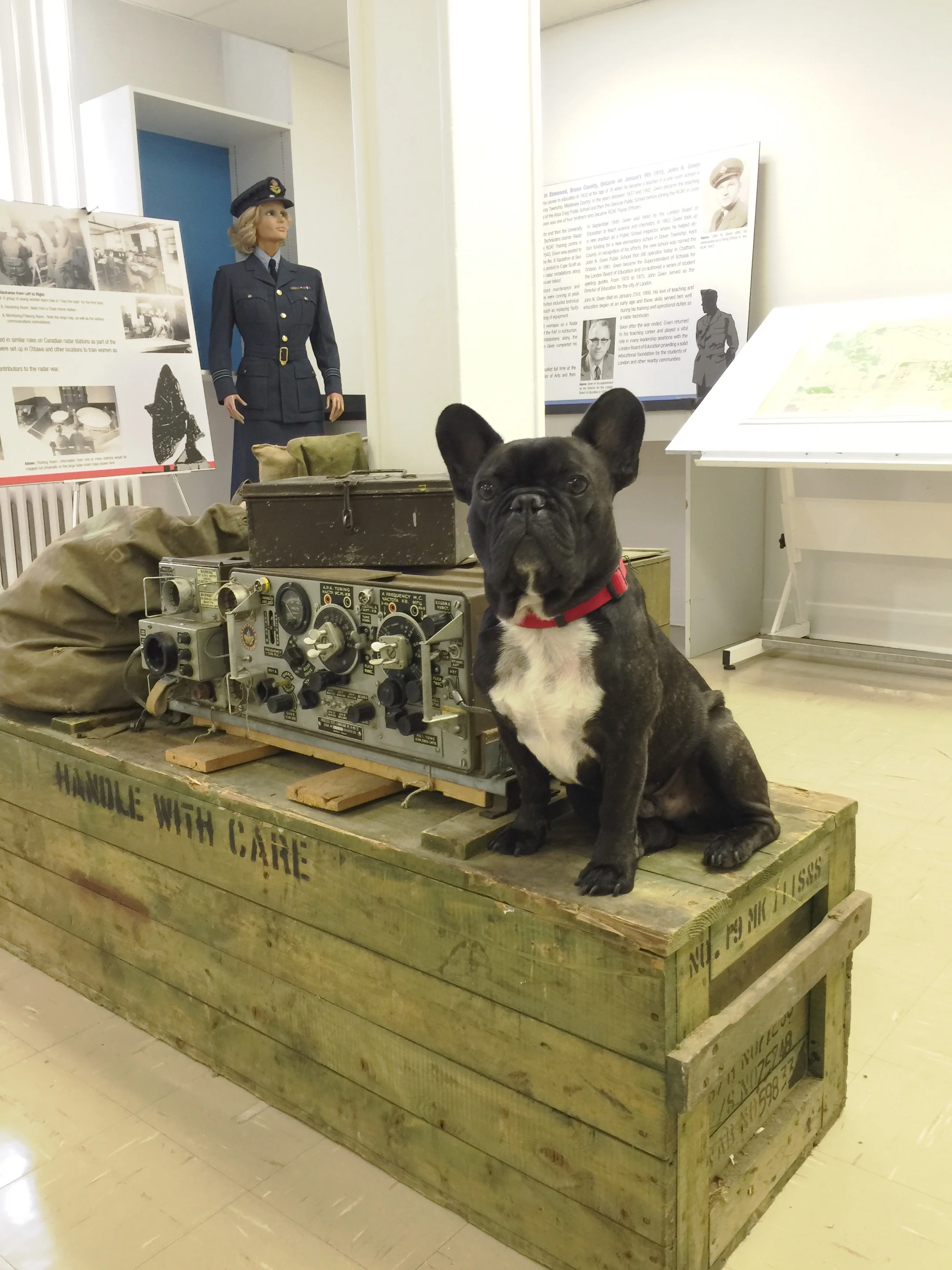 THE SECRETS OF RADAR MUSEUM!! 