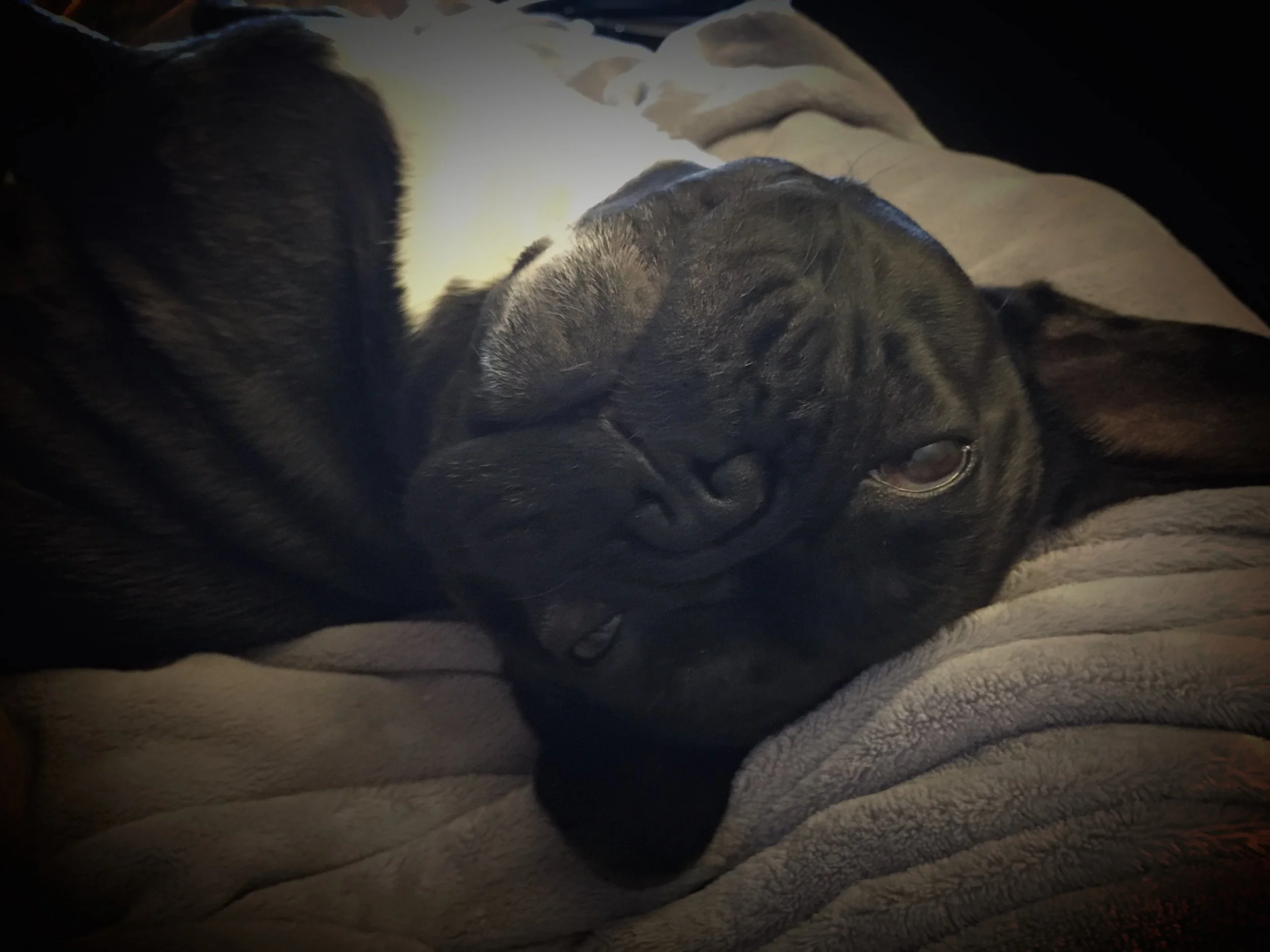 TUESDAY NIGHTYNIGHTIMES (3 photos) 