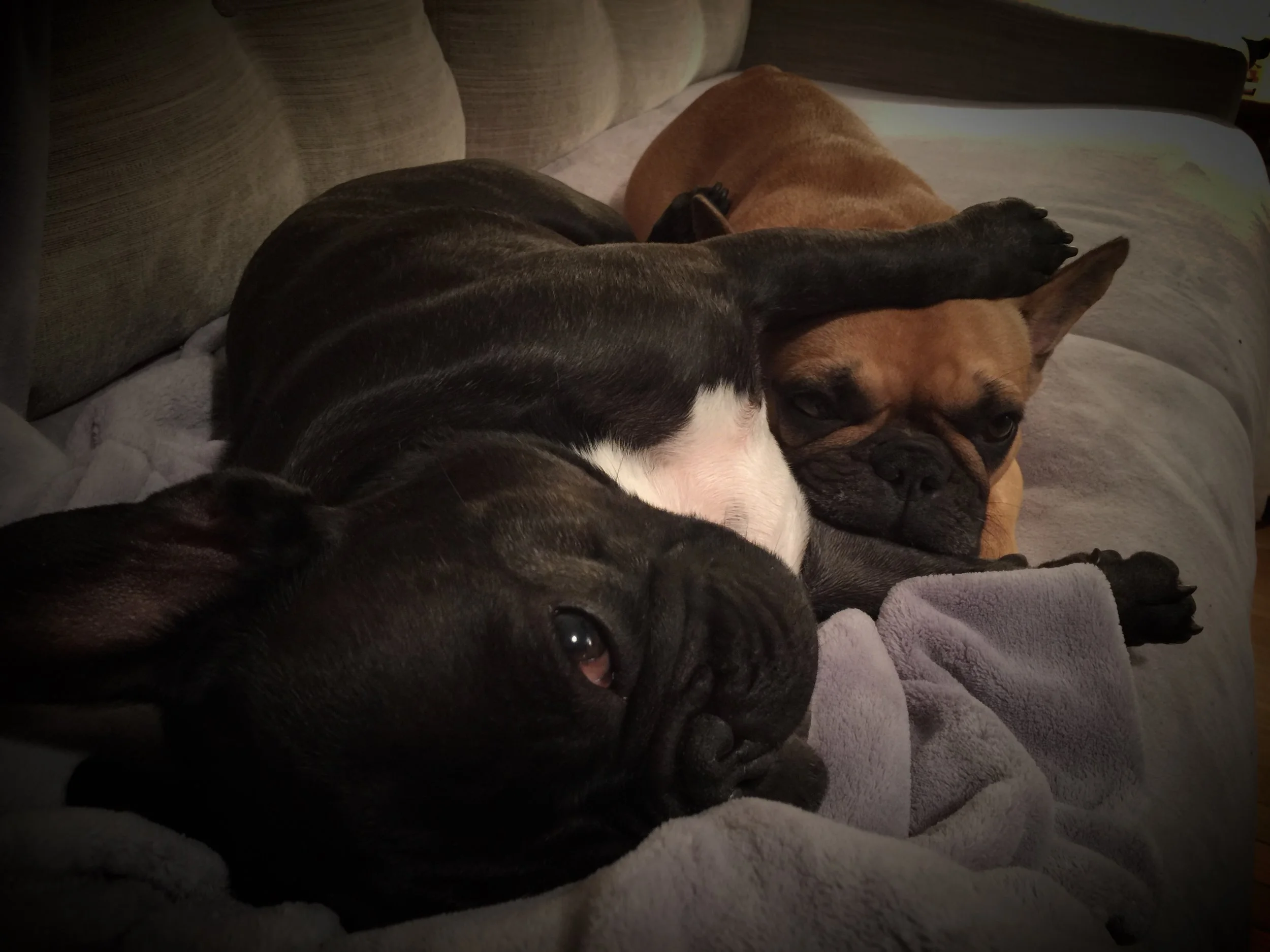 WEDNESDAY NIGHTYNIGHTIMES (3 photos and happyHeartHugs) 