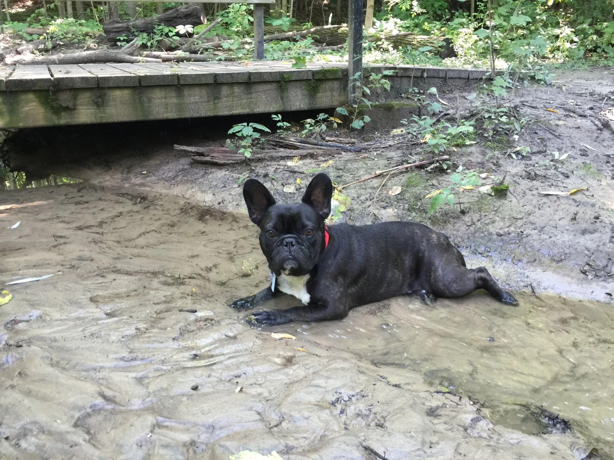 LET'S HANG OUT WITH THE NATUREMAMA!! (9 photos) 