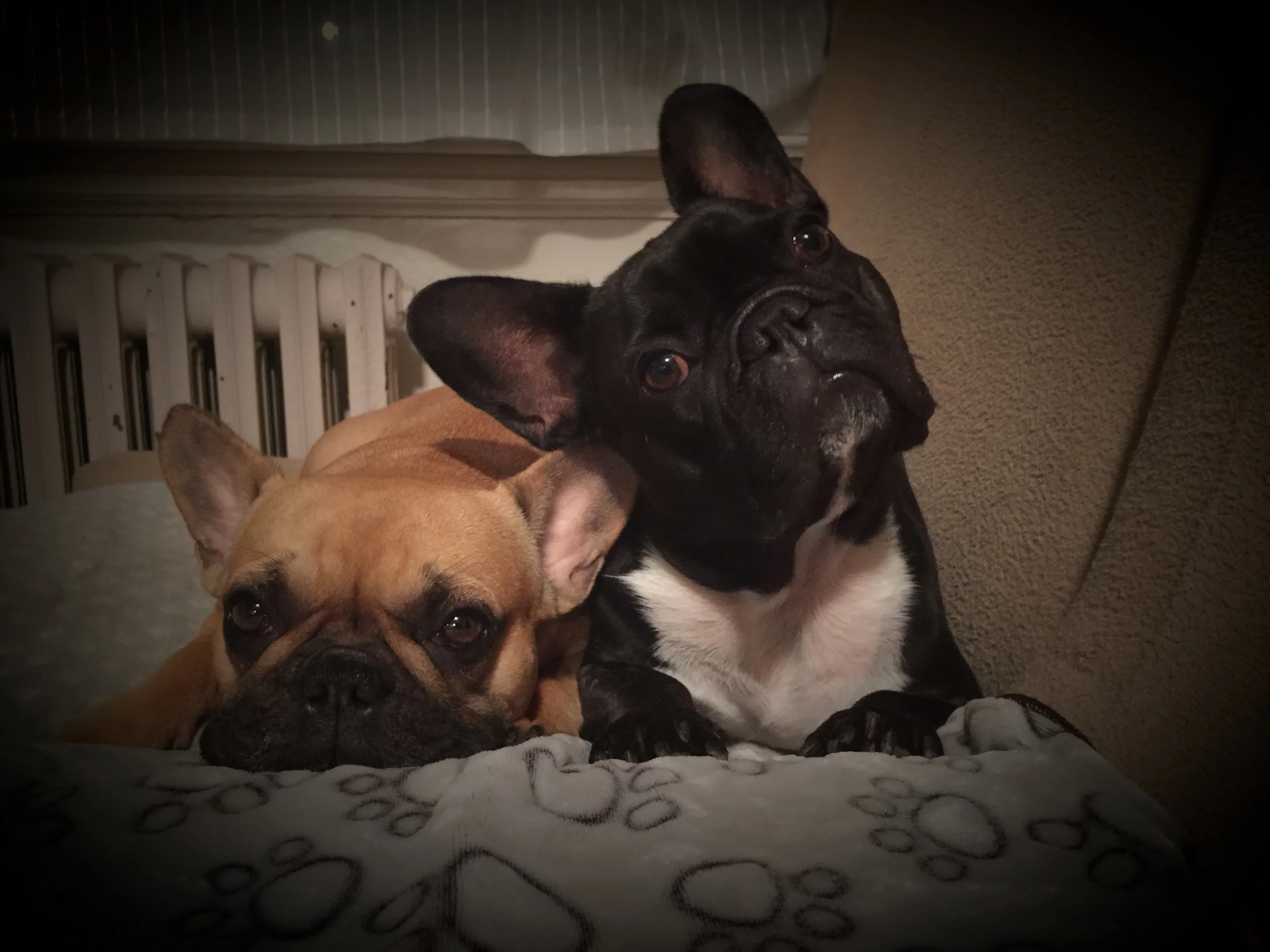 THURSDAY NIGHTYNIGHTIMES (3 photos) 