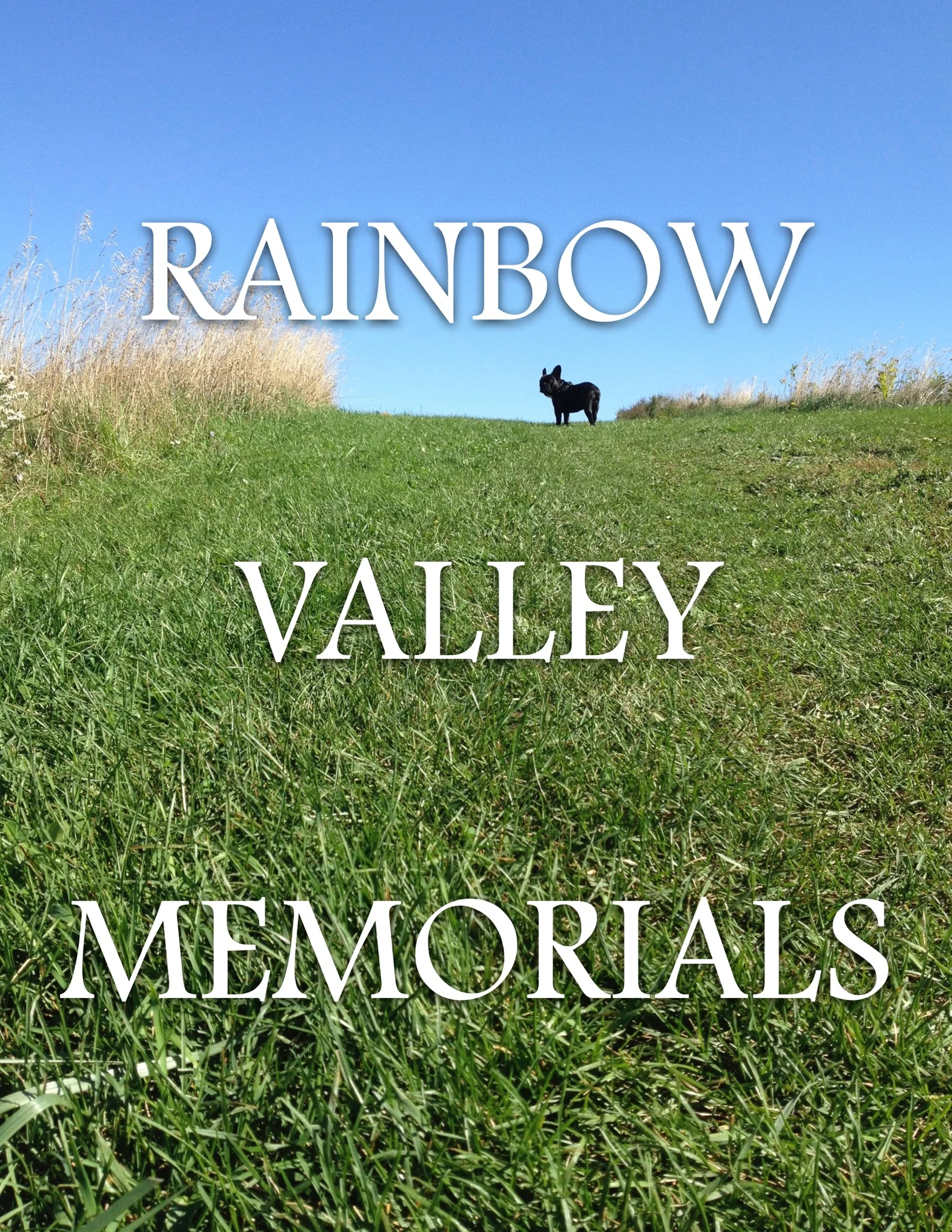 BRINDLETERM OF THE DAY: "RAINBOW VALLEY"