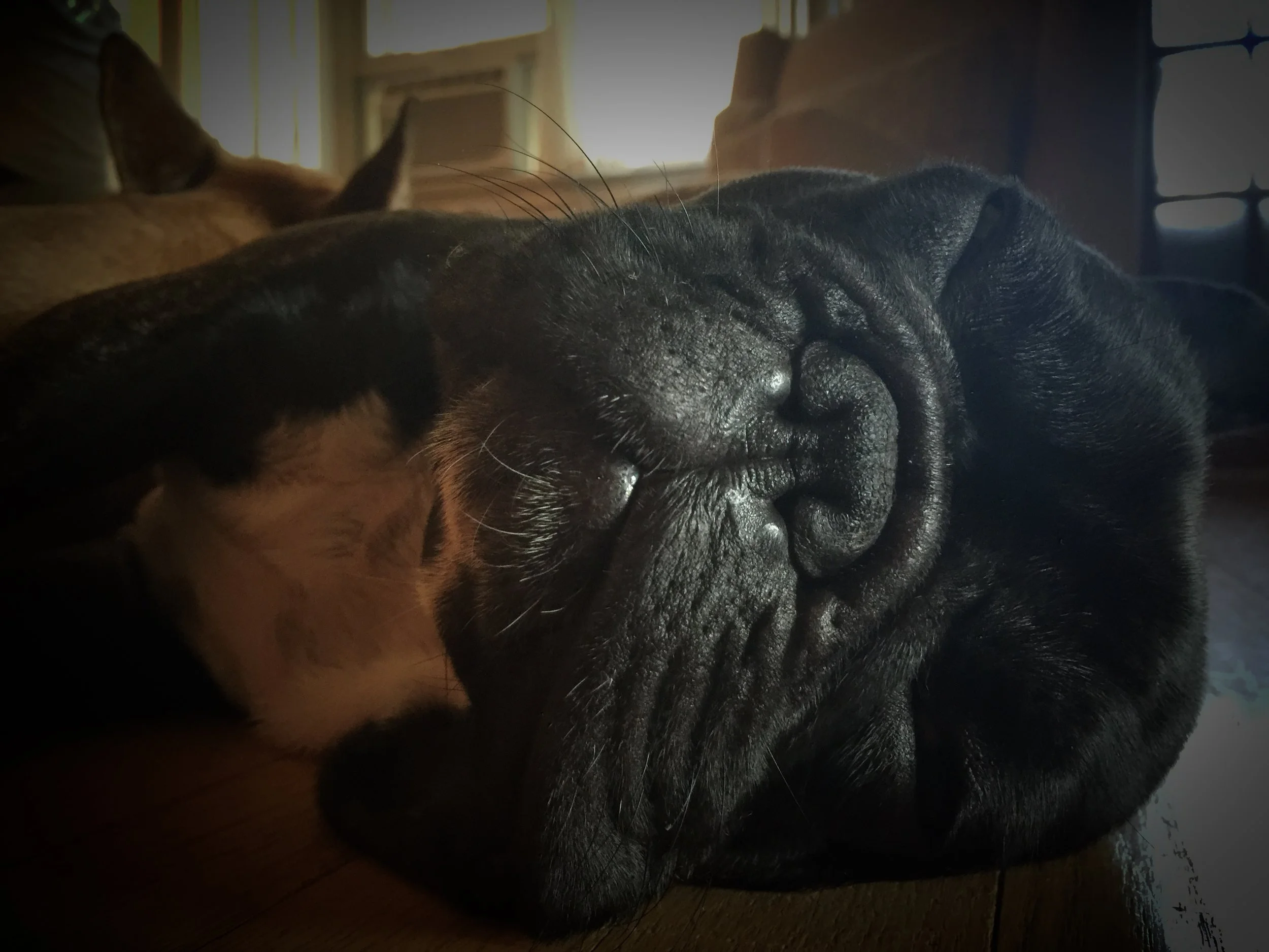 FRIDAY NIGHTYNIGHTIMES (3 photos) 