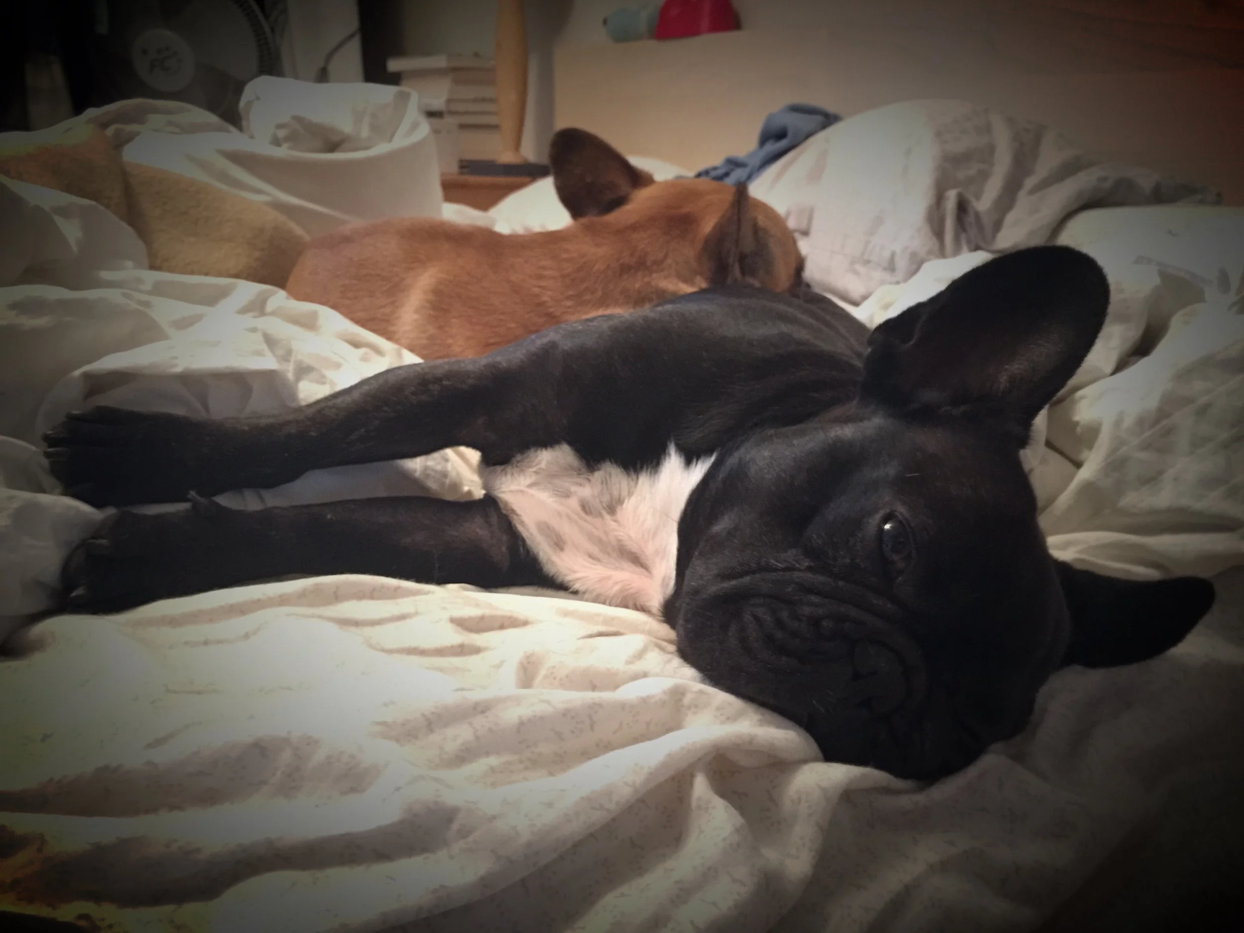 MONDAY NIGHTYNIGHTIMES (3 photos) 