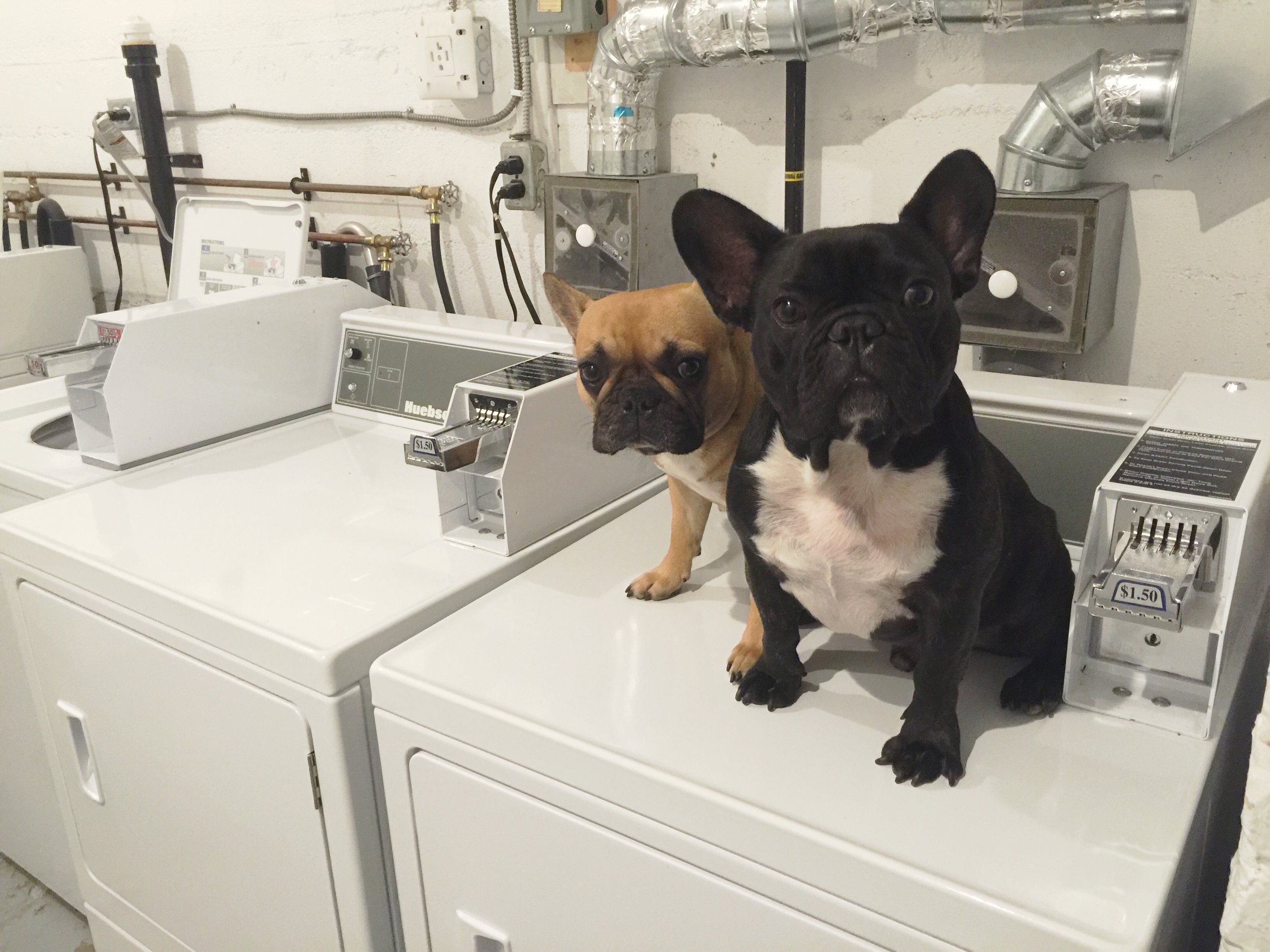 TUESDAY MORNINGTIMES!! (photos and links) 