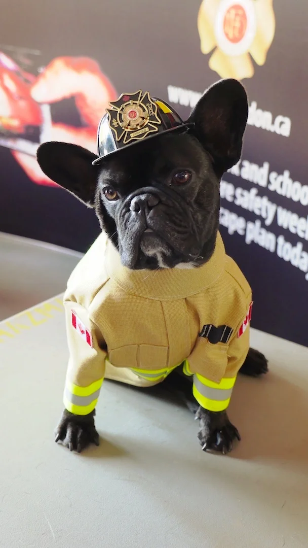 FIRE SAFETY WEEK!! October 9 - 15 2016 ( 20 photos)  