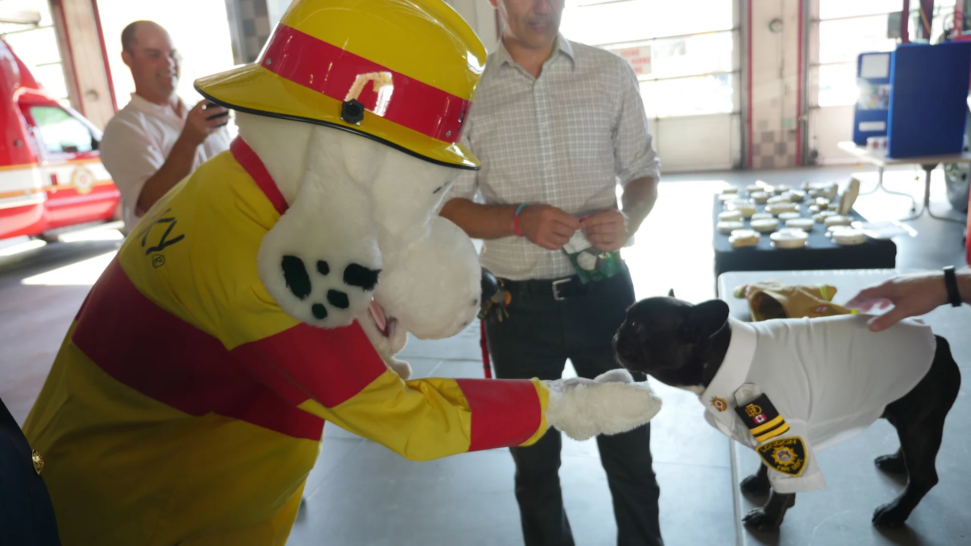 Archie meets worldfamous Fire Safety Dog, SPARKY!! 