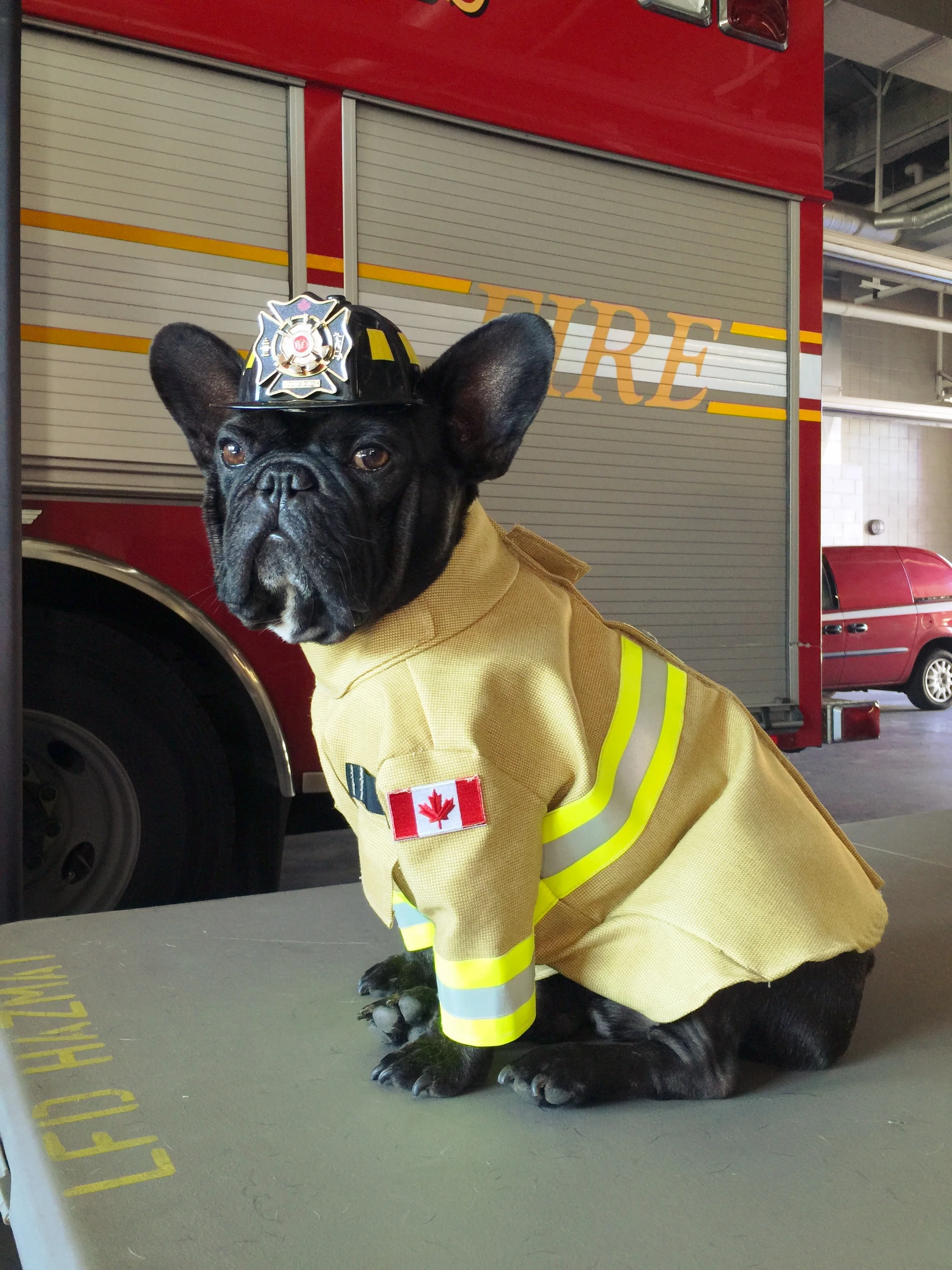 Me in my shinynew BUNKER GEAR uniform!! 
