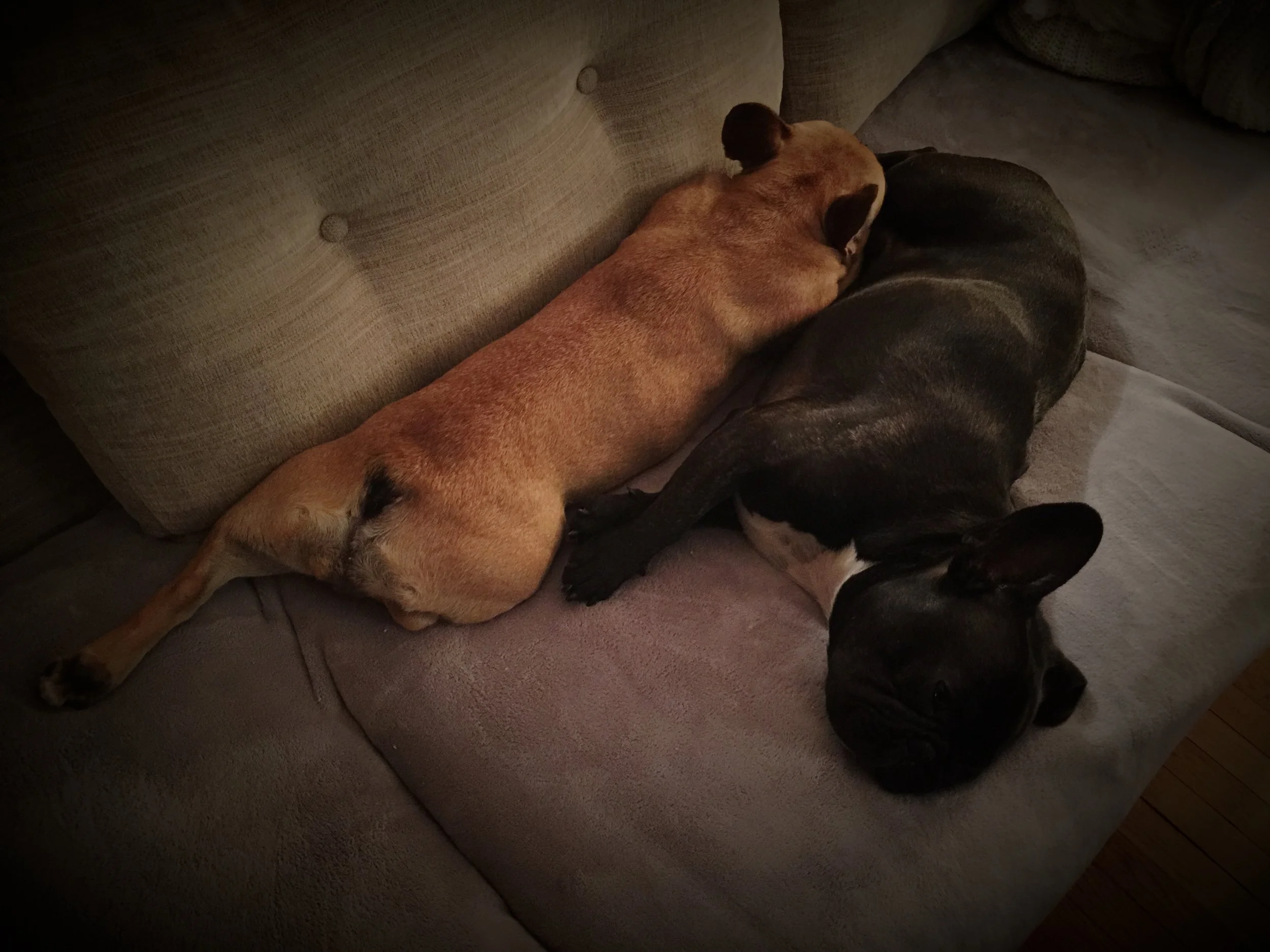 WEDNESDAY NIGHTYNIGHTIMES (photos and quote) 