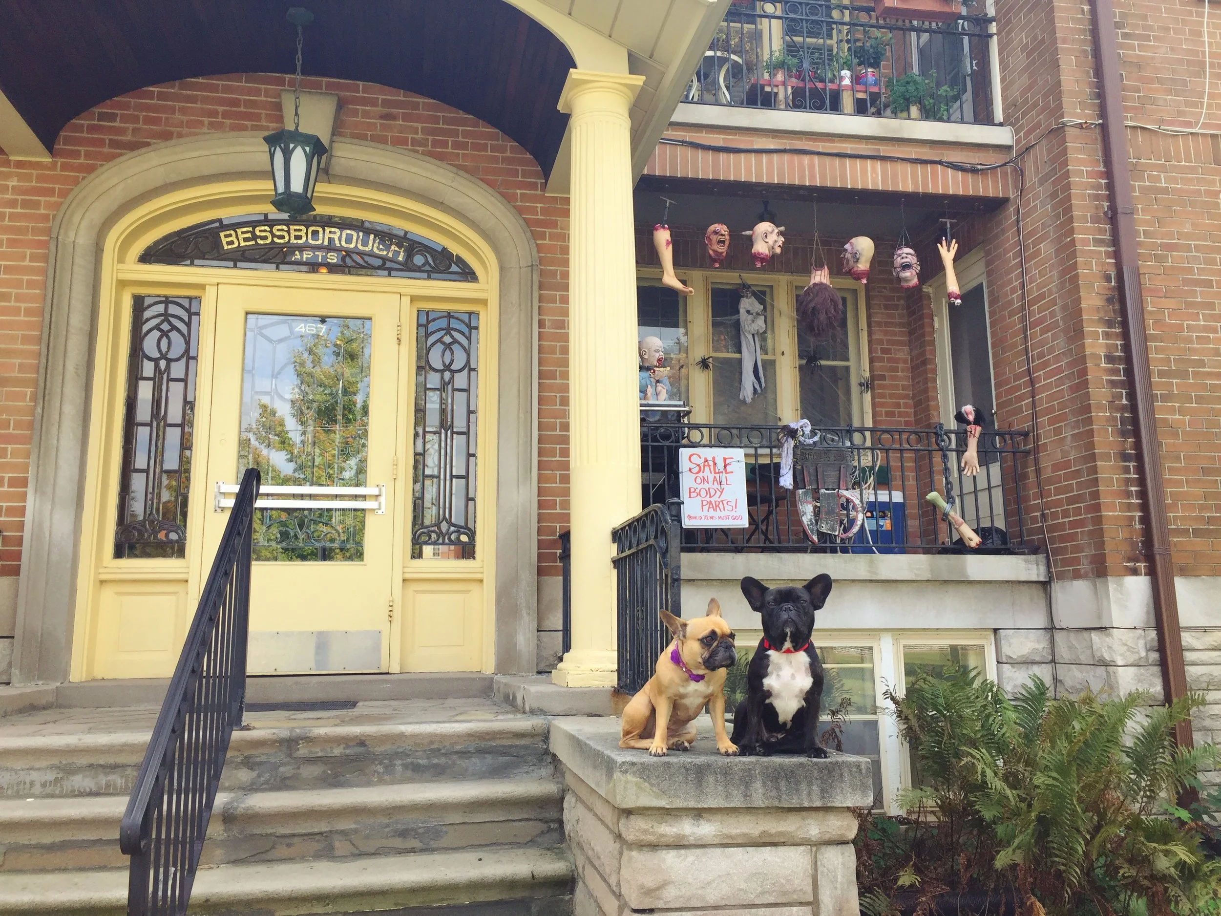 THURSDAY MORNINGTIMES!! (photos and links) 