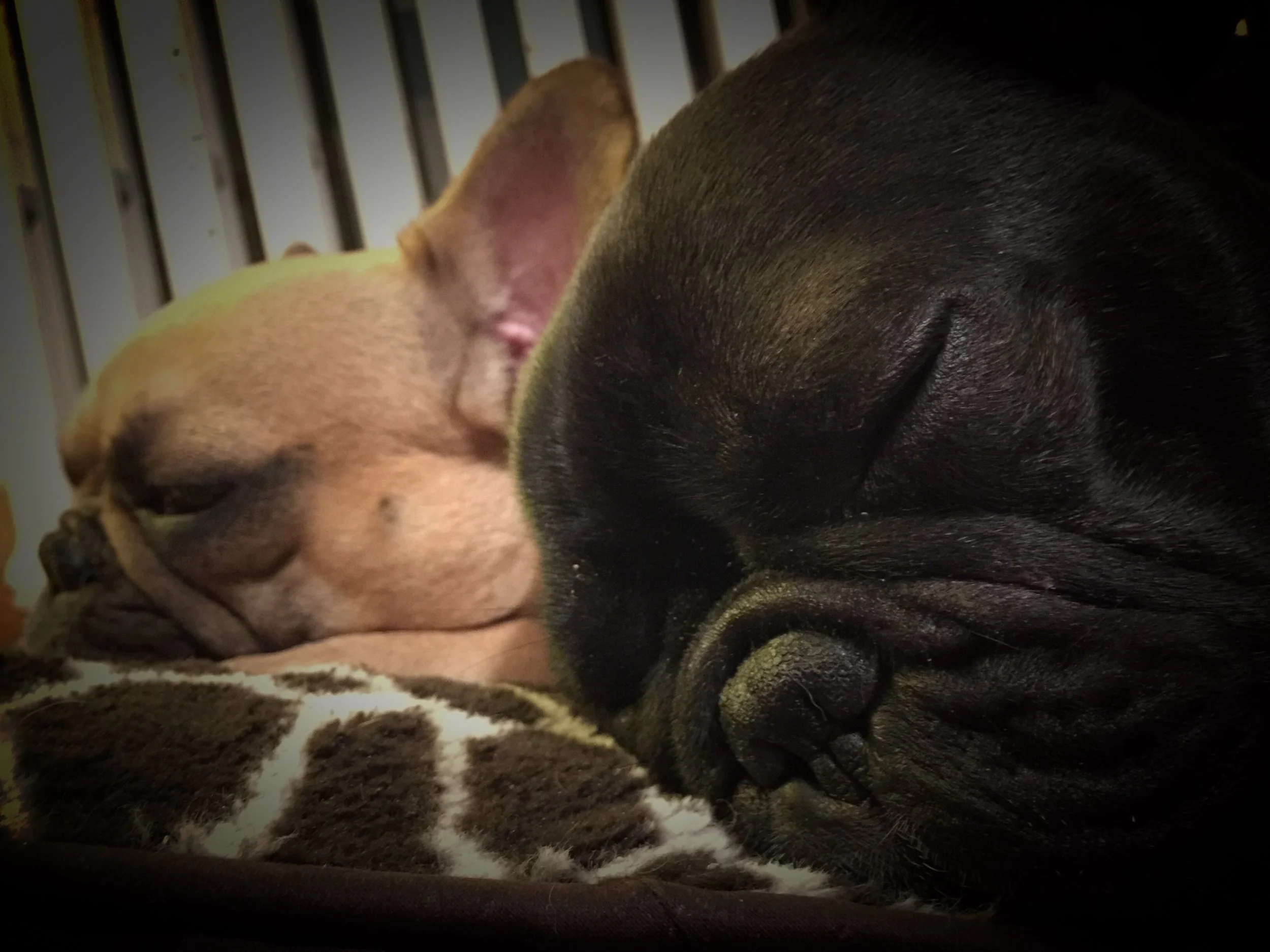 THURSDAY NIGHTYNIGHTIMES (photos and thinkingthoughts) 