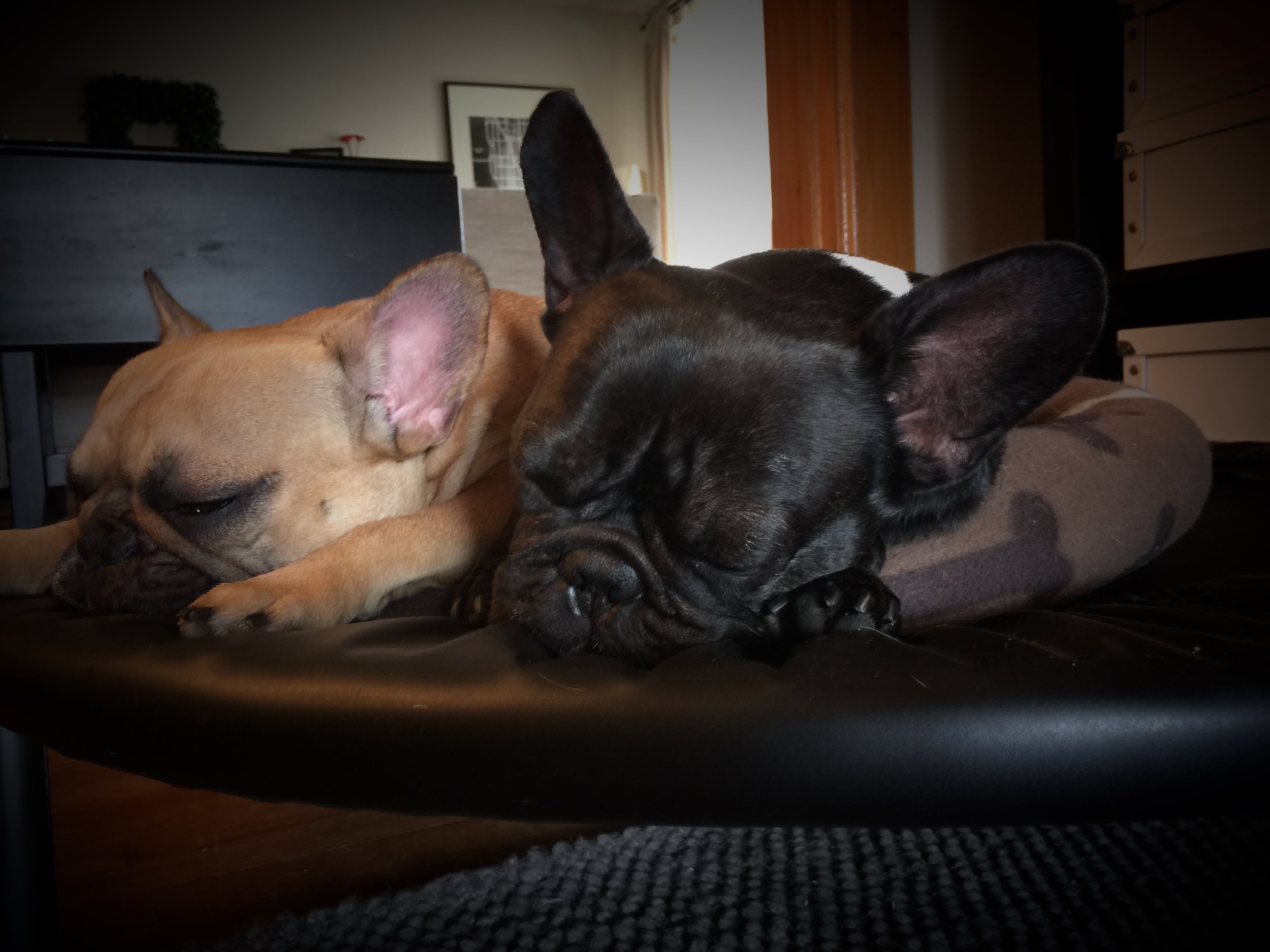 FRIDAY NIGHTYNIGHTIMES (photos and thinkingthoughts) 