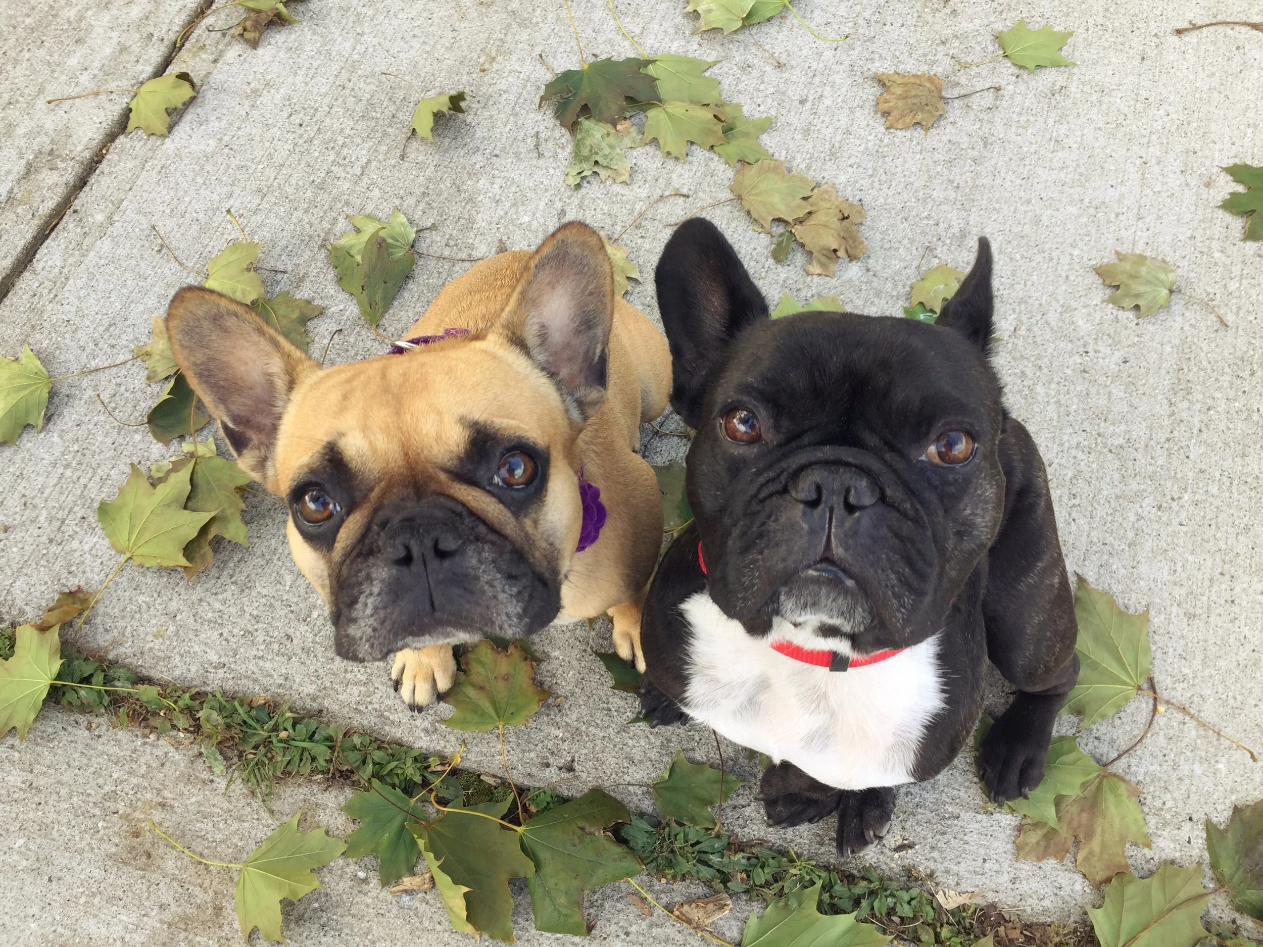 MONDAY MORNINGTIMES!! (photos and links) 