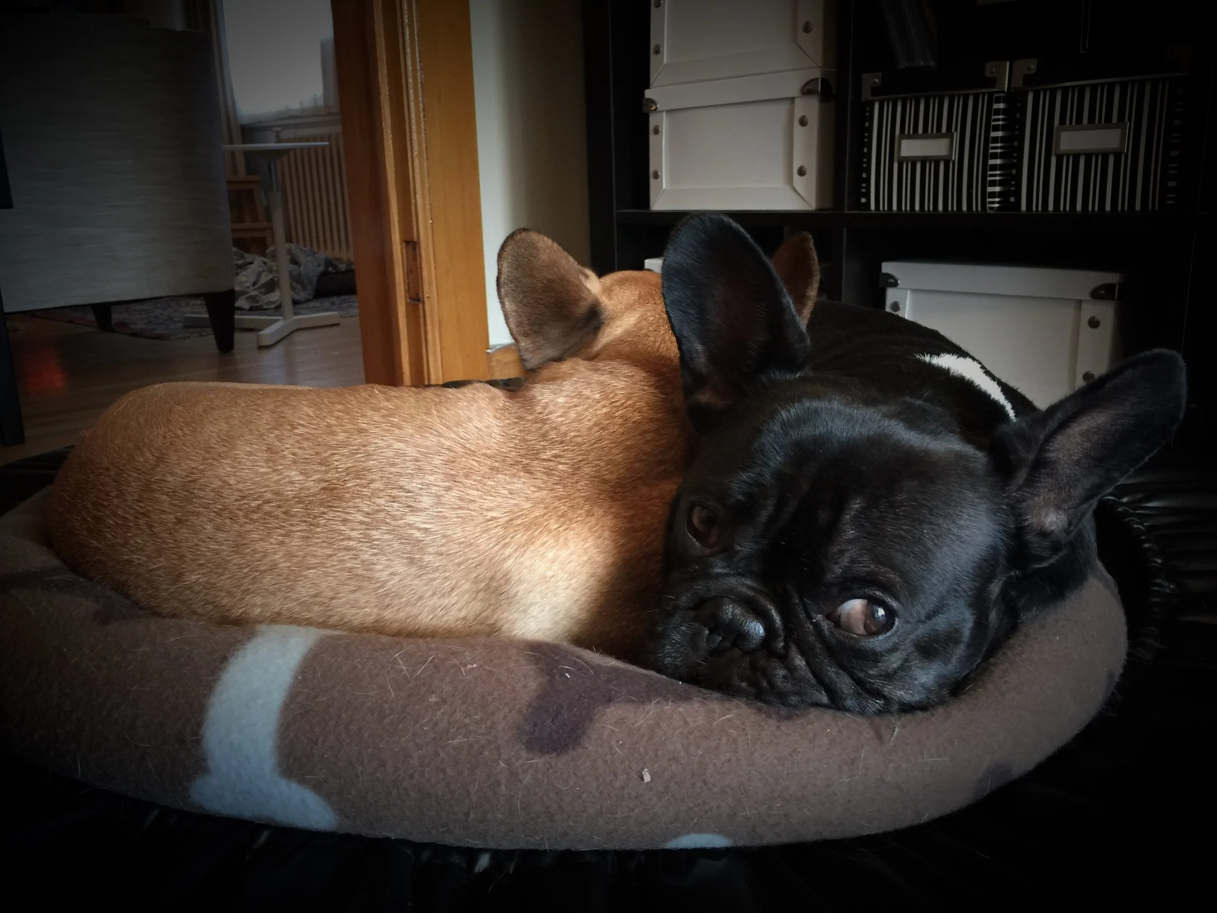 MONDAY NIGHTYNIGHTIMES (3 photos plus thinkingthoughts) 