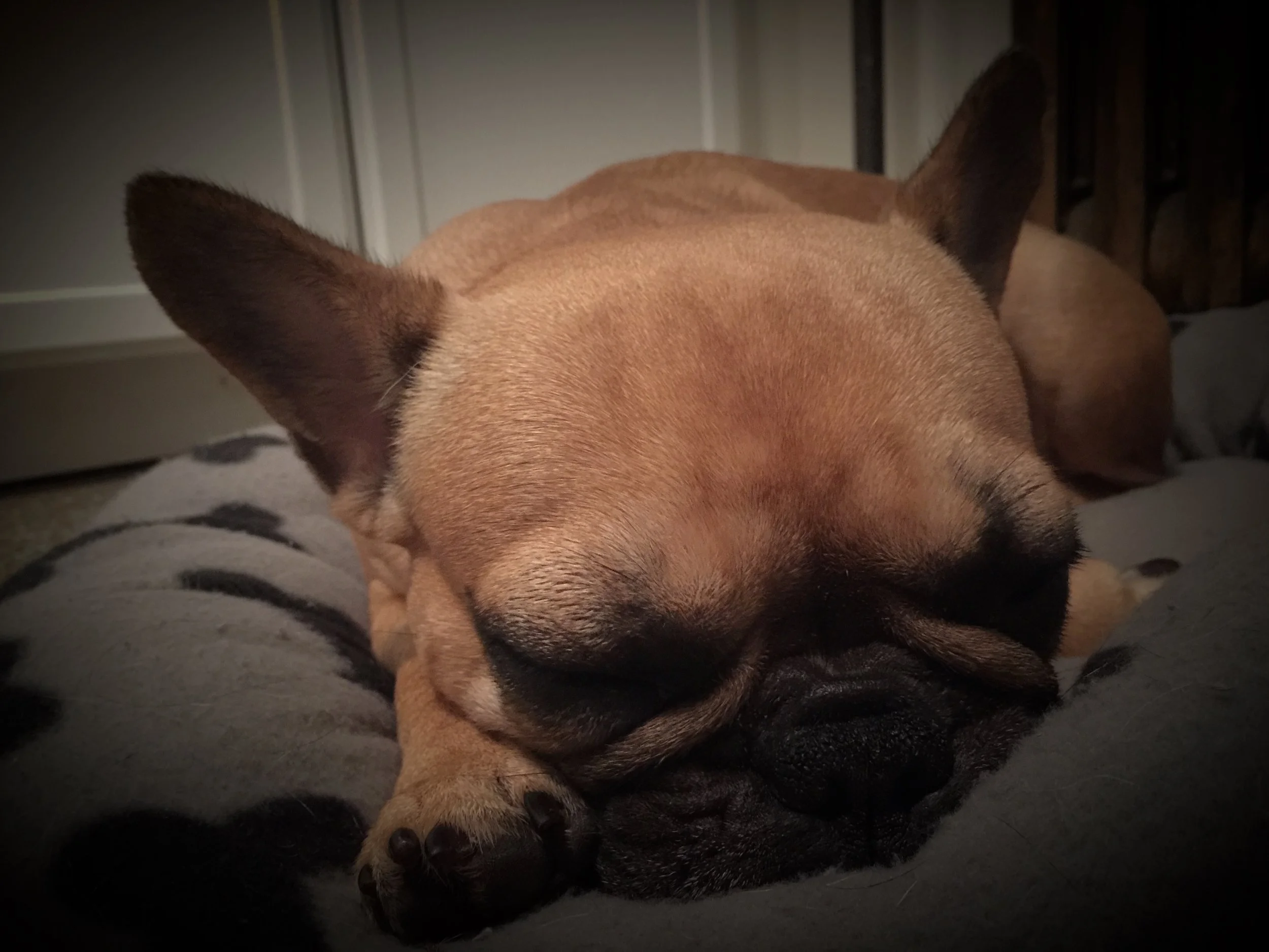 TUESDAY NIGHTYNIGHTIMES (3 photos and thinkingthoughts) 