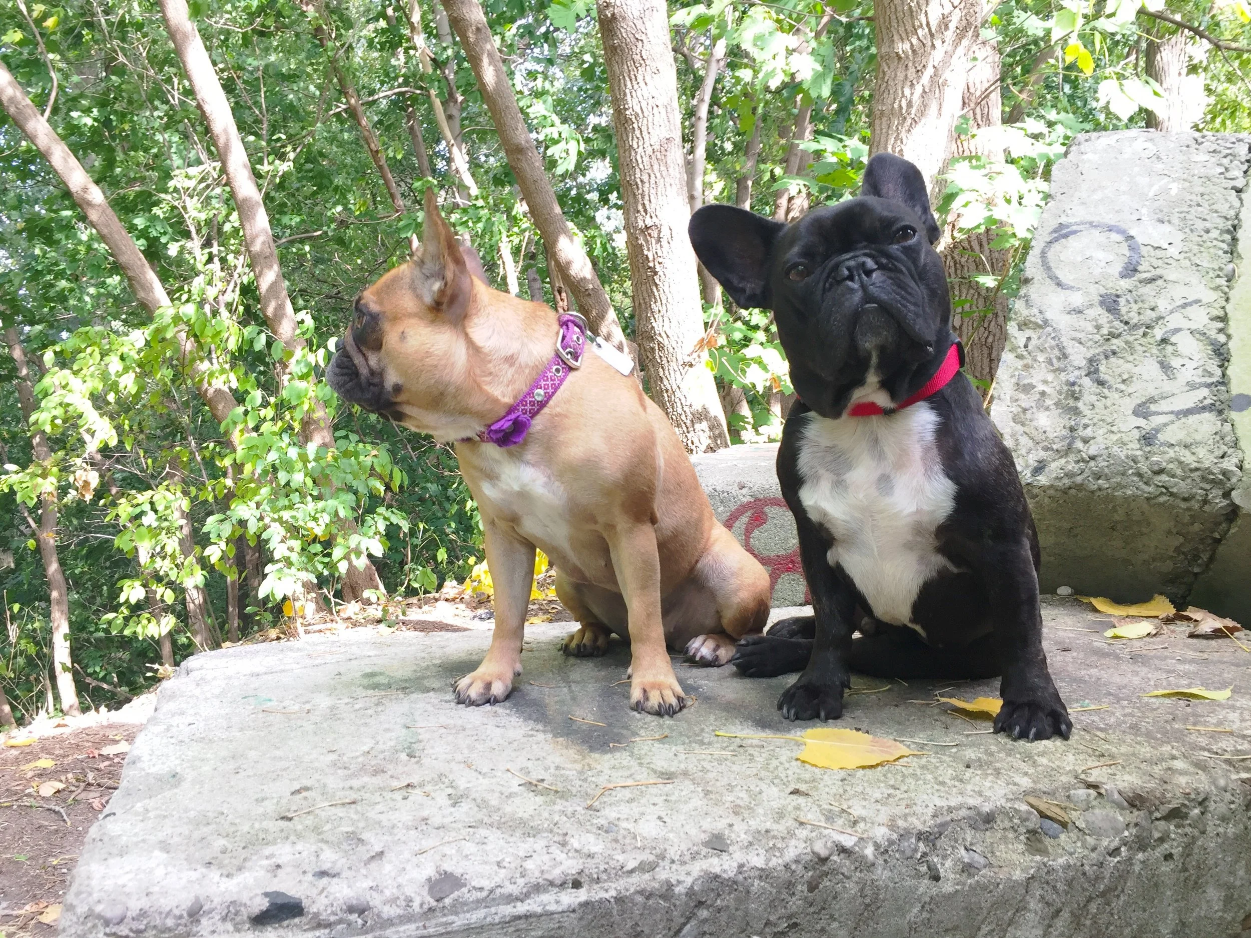 WEDNESDAY MORNINGTIMES!! (photos and links) 