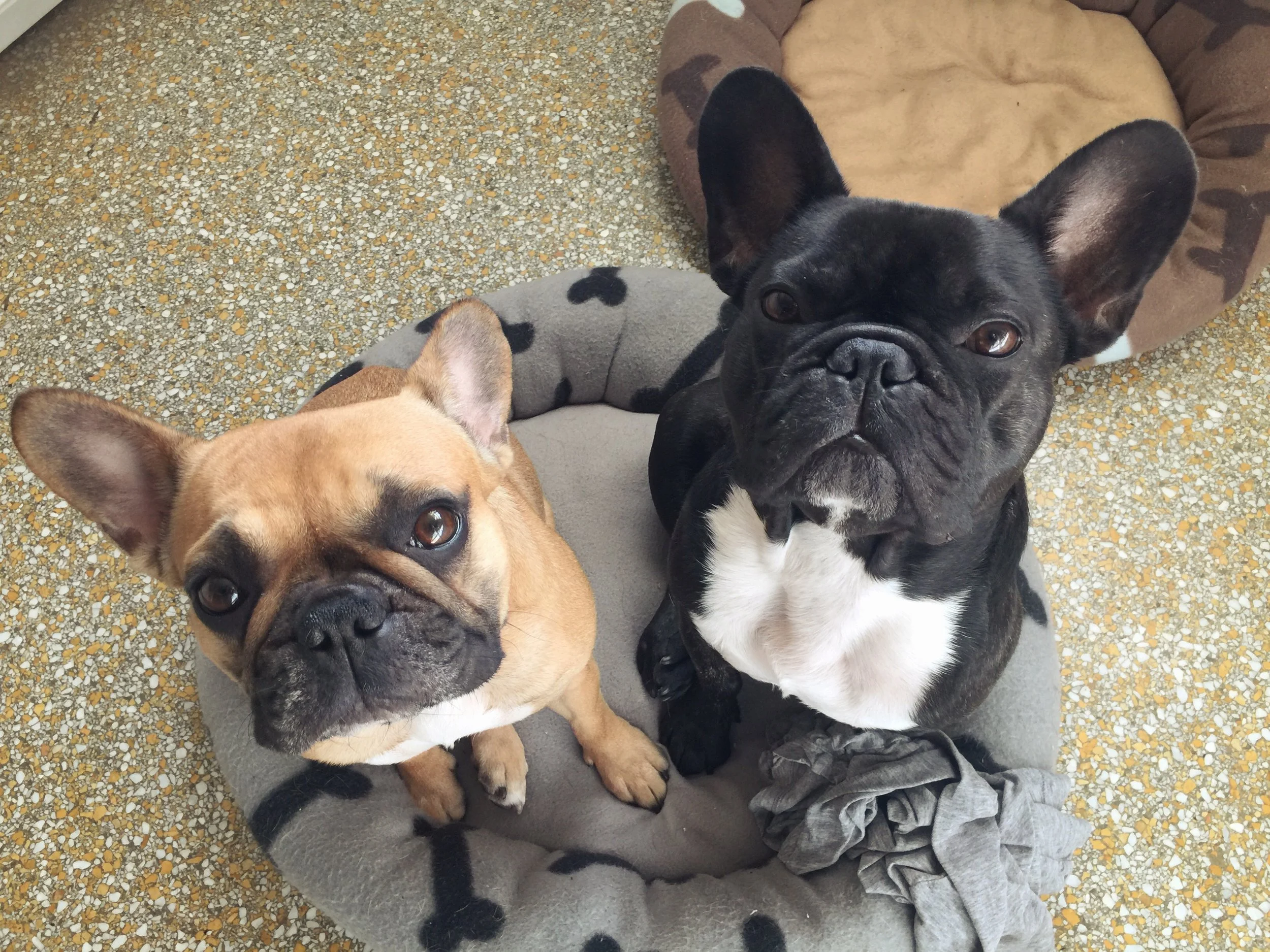 THURSDAY MORNINGTIMES!! (Photos and links) 