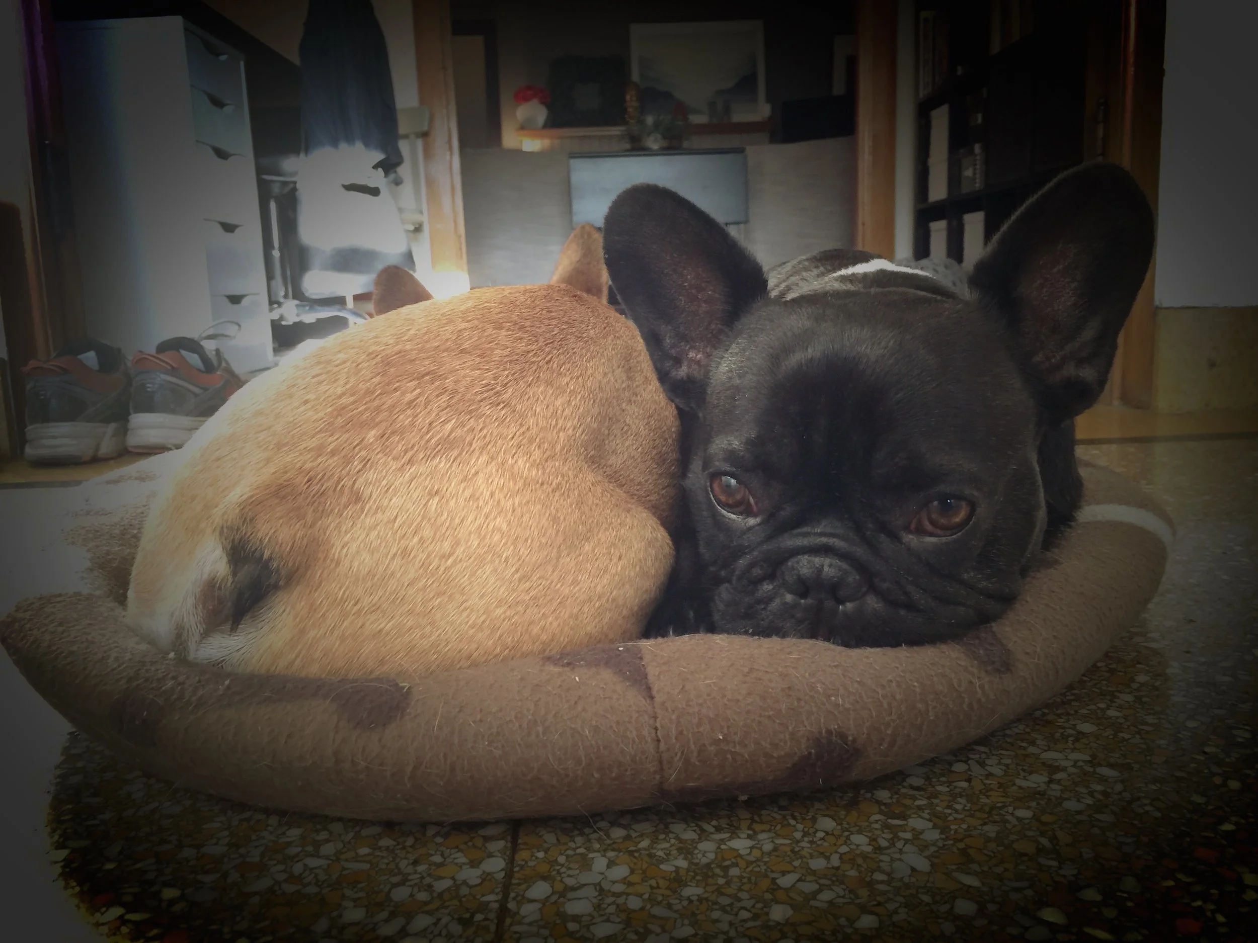 THURSDAY NIGHTYNIGHTIMES (3 photos and luvluvlovings) 