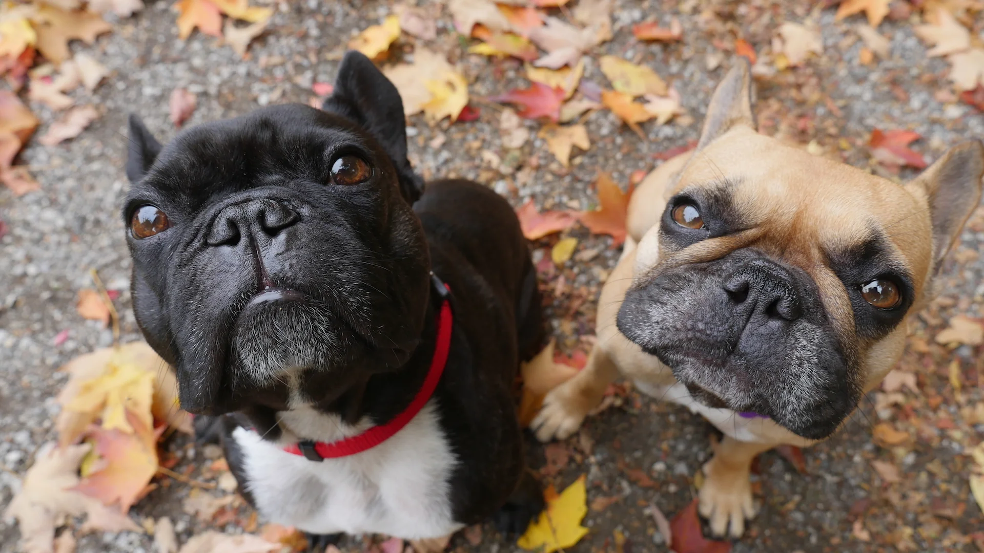 MONDAY MORNINGTIMES!! (photos and links) 