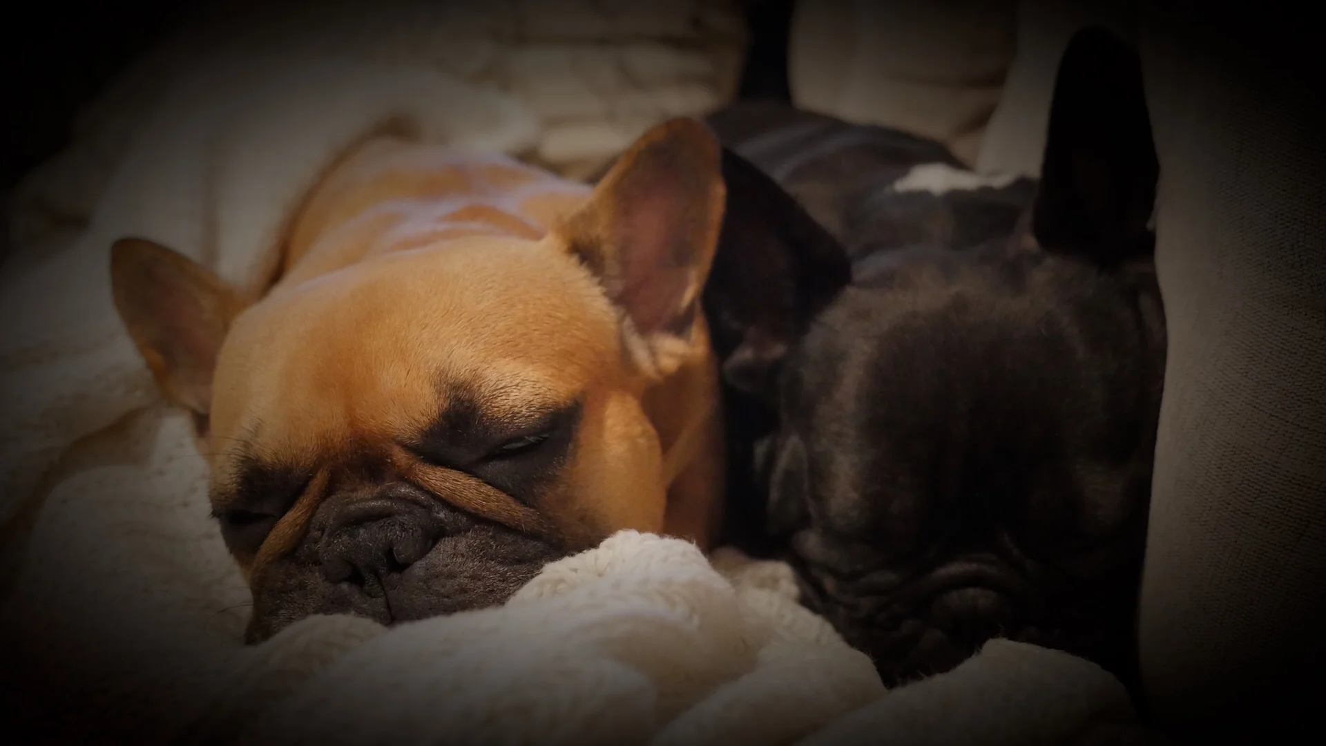 MONAY NIGHTYNIGHTIMES (3 photos) 