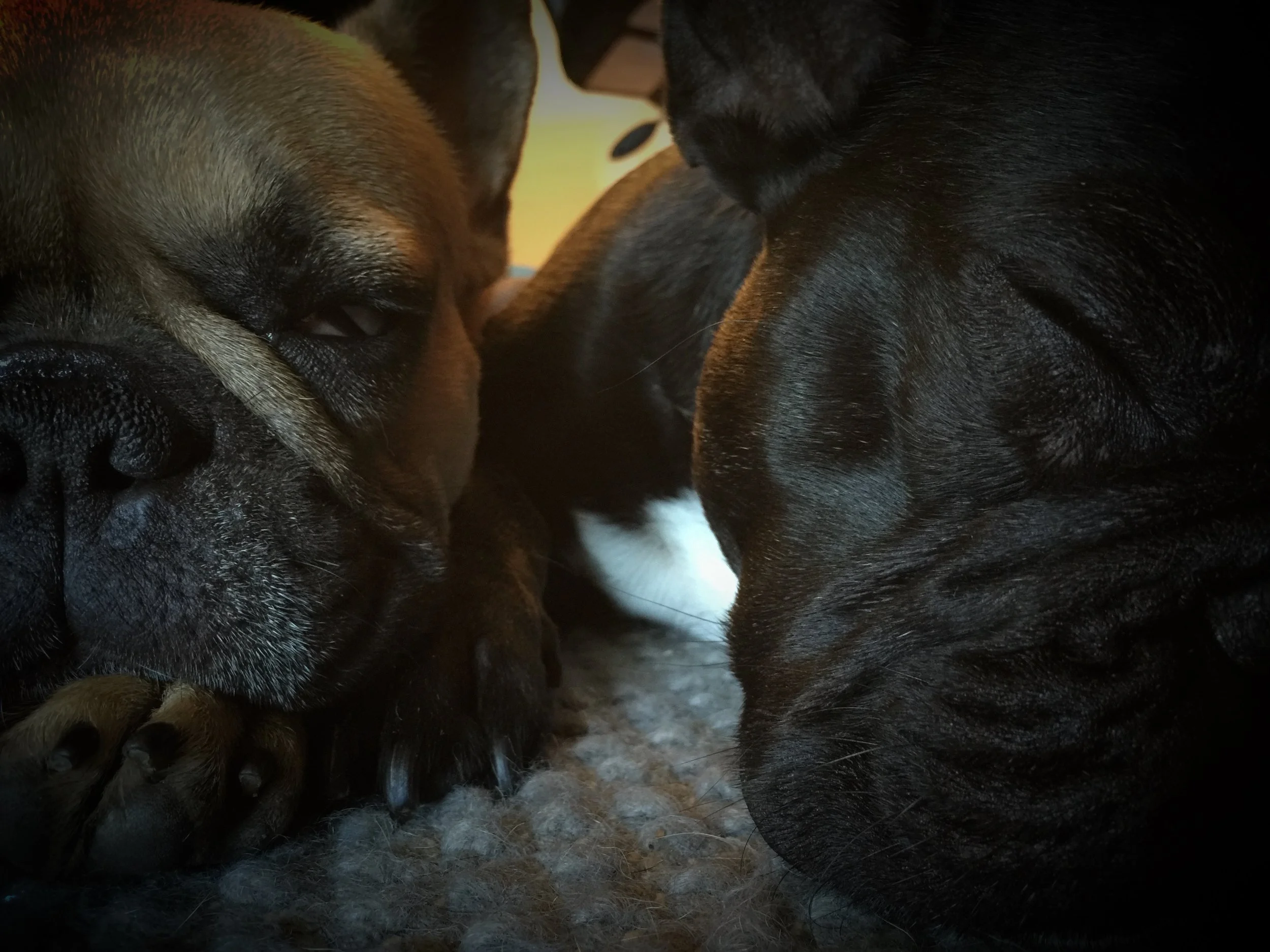 TUESDAY NIGHTYNIGHTIMES (3 photos) 