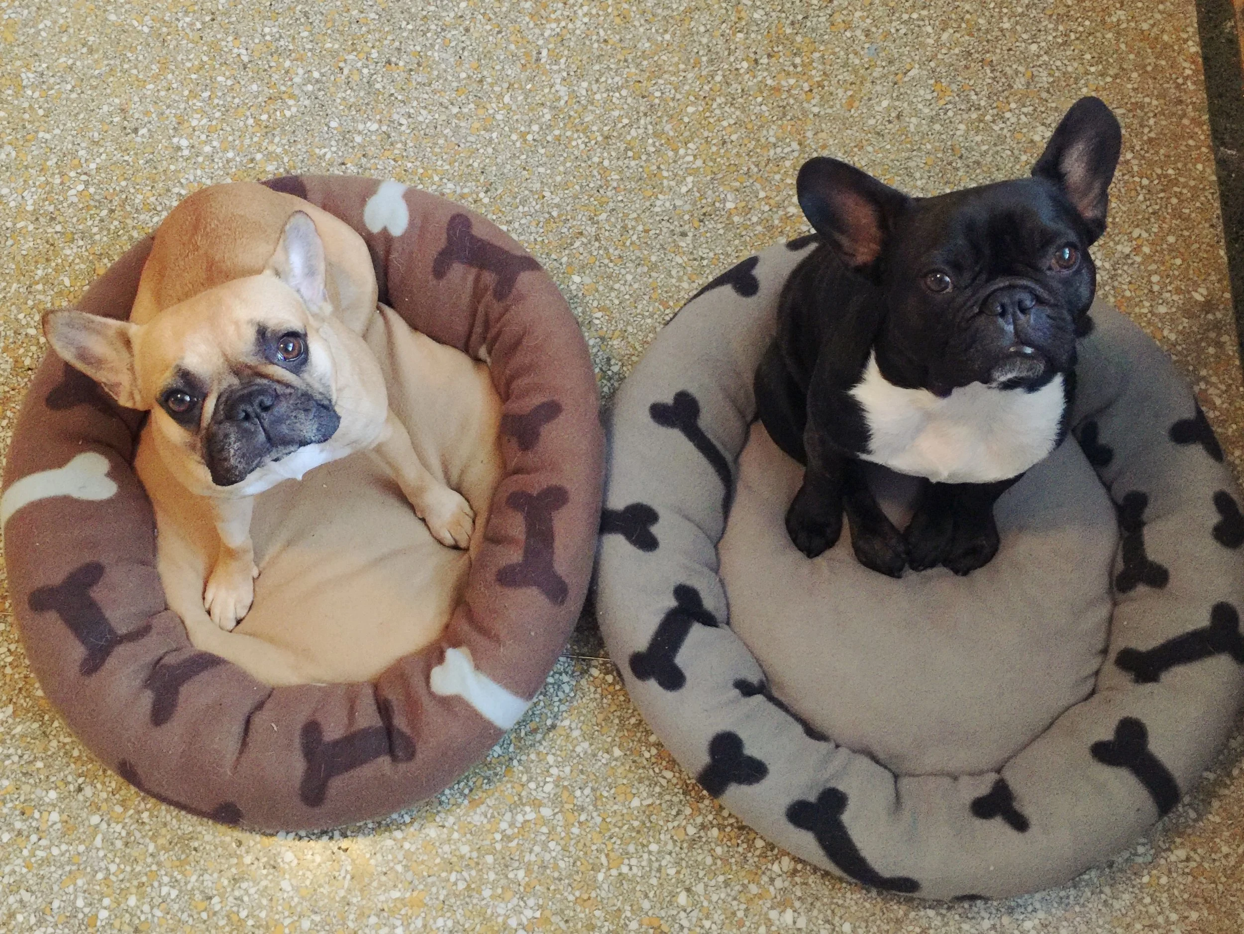 THURSDAY MORNINGTIMES (photos and fun stuff!!) 