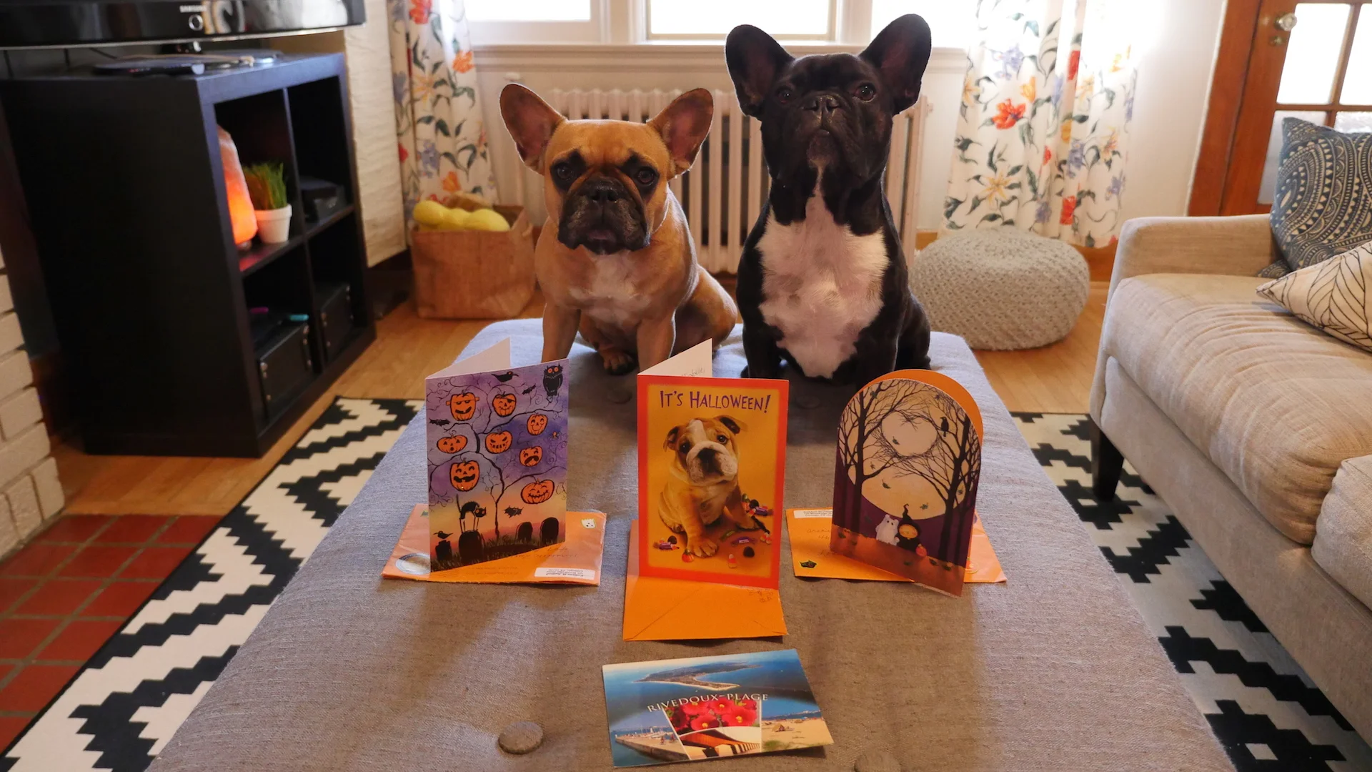 LOOK WHAT WAS IN OUR MAILINGBOX, EVERYBUDDY!! (14 photos) 