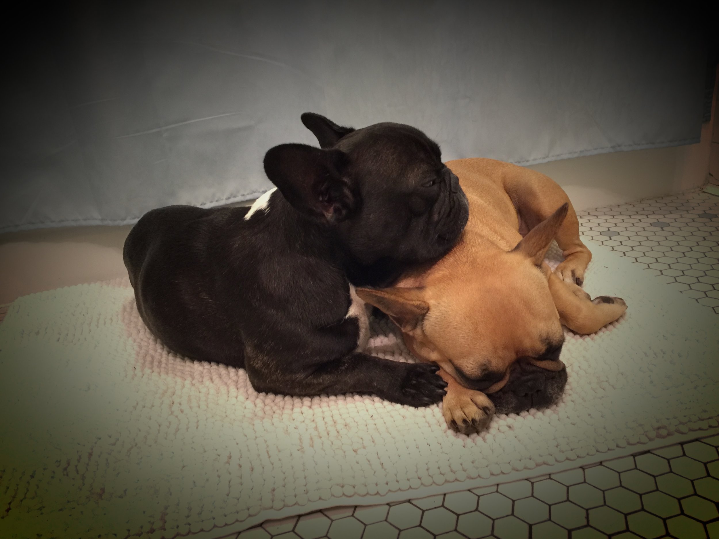 FRIDAY NIGHTYNIGHTIMES (3 photos) 