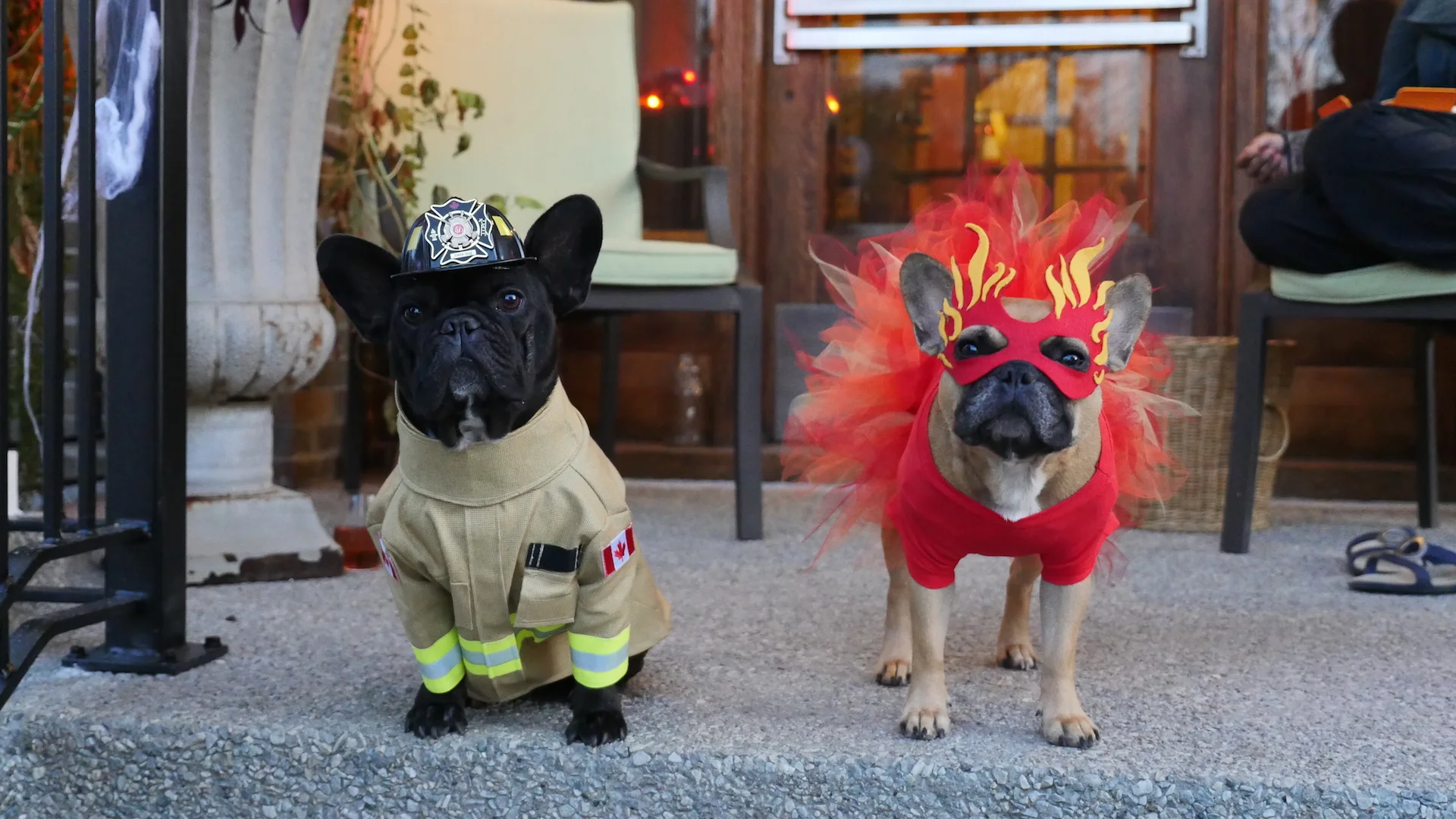 HAPPYHAPPYHALLOWEENINGTIMES, EVERYBUDDY!! (nightynightimes special)