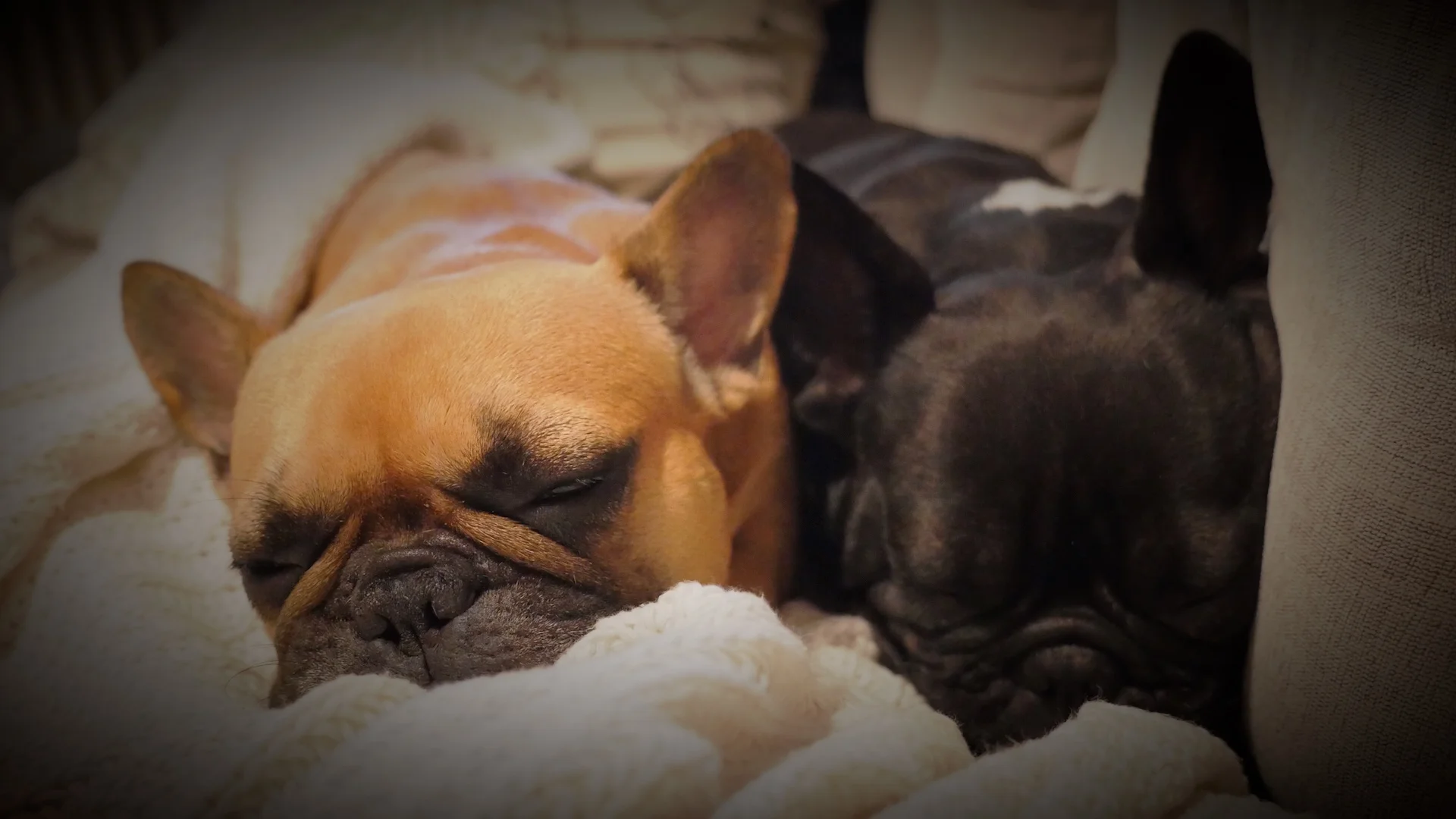 WEDNESDAY NIGHTYNIGHTIMES (3 photos) 