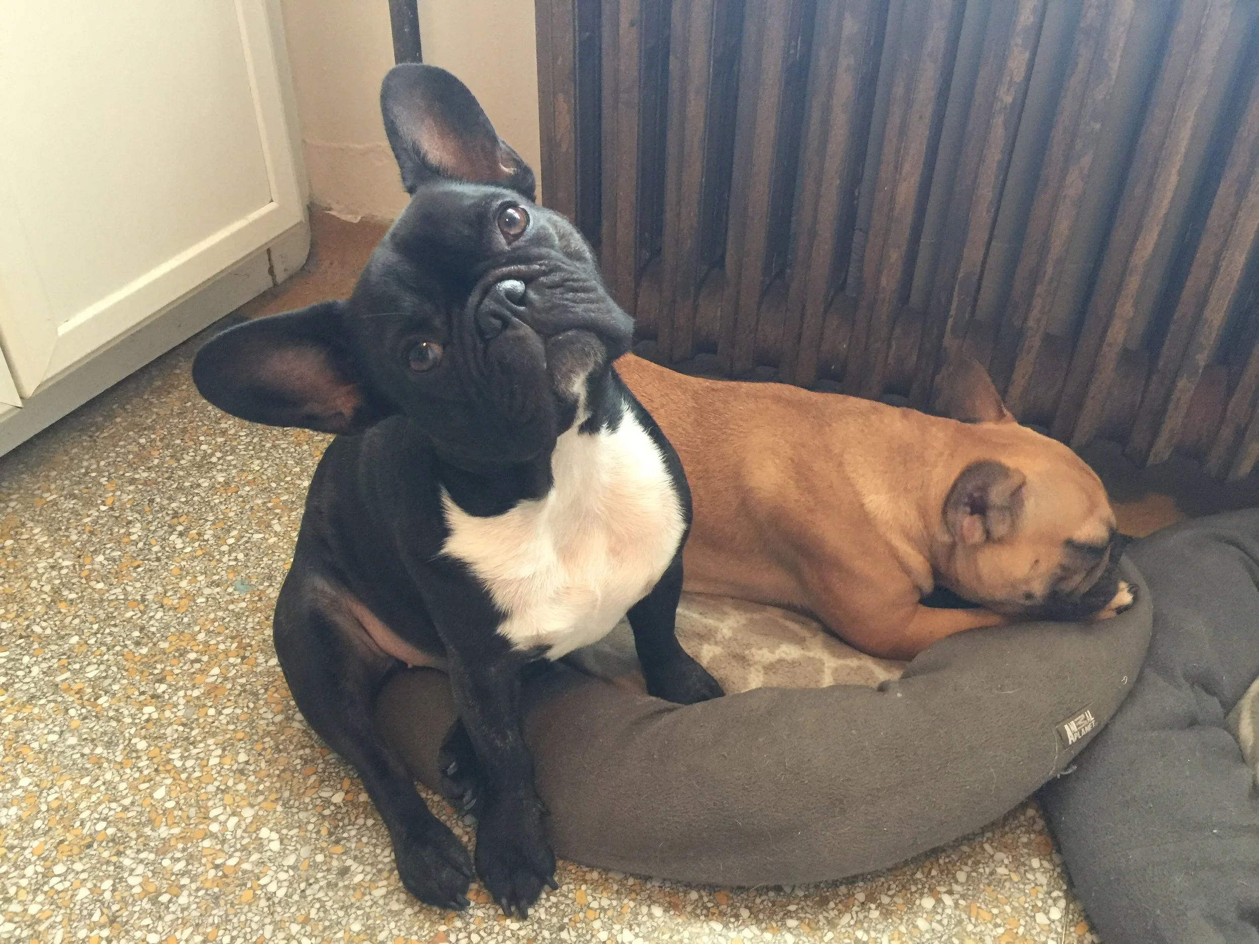 THURSDAY MORNINGTIMES (Photos and links) 