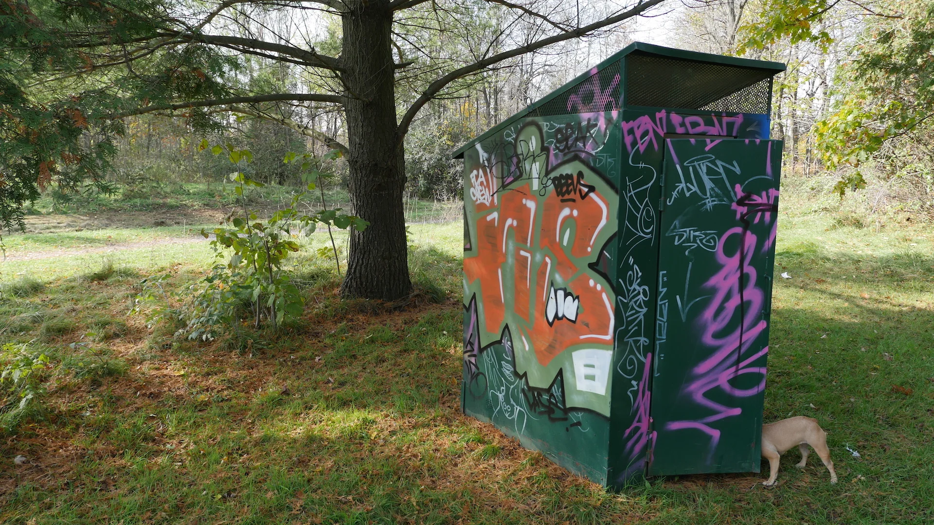 Mirabelle found a poop closet in the middle of the wilderwild, guys!! Crazybananas!!