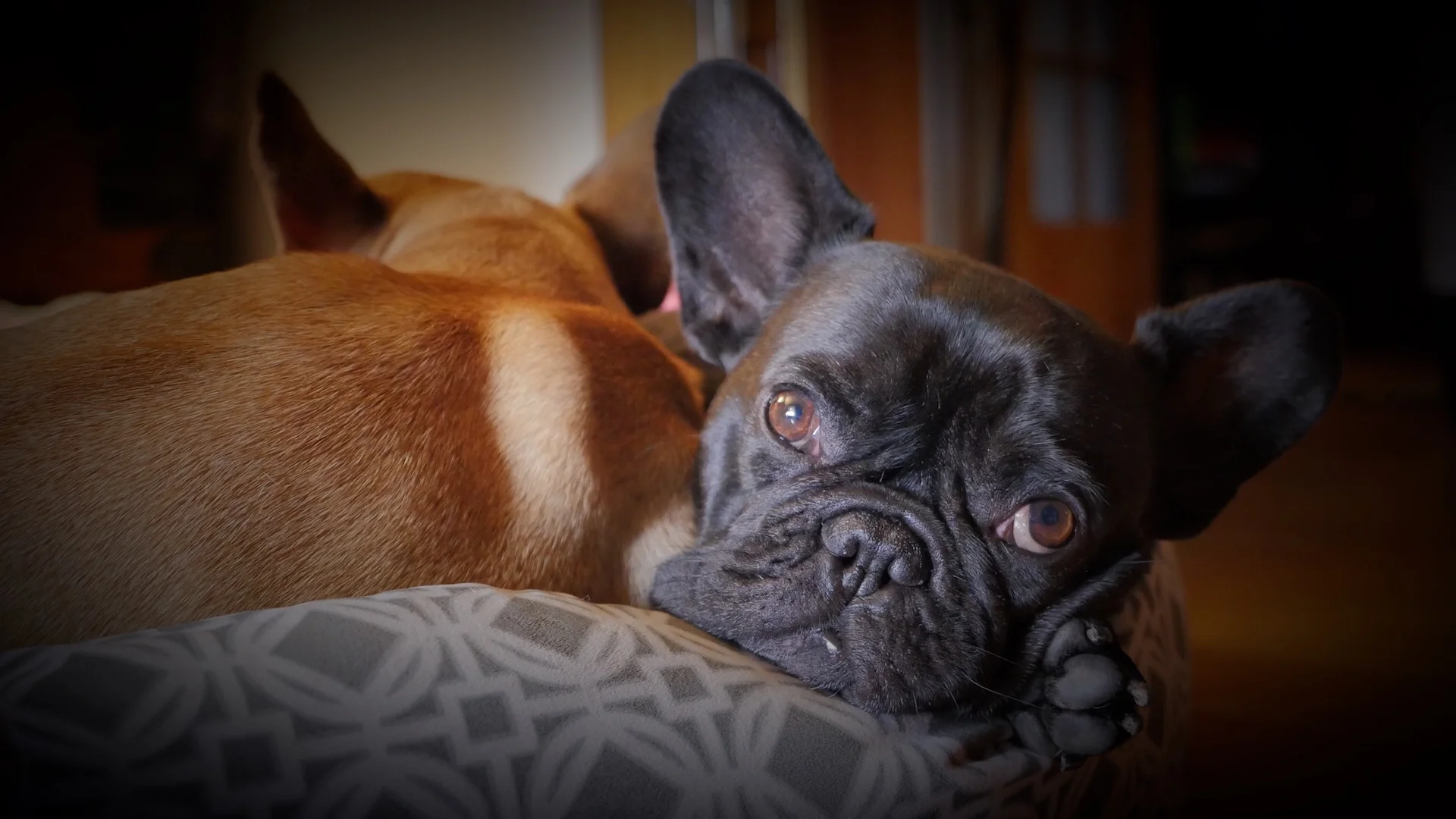 THURSDAY NIGHTYNIGHTIMES (3 photos) 