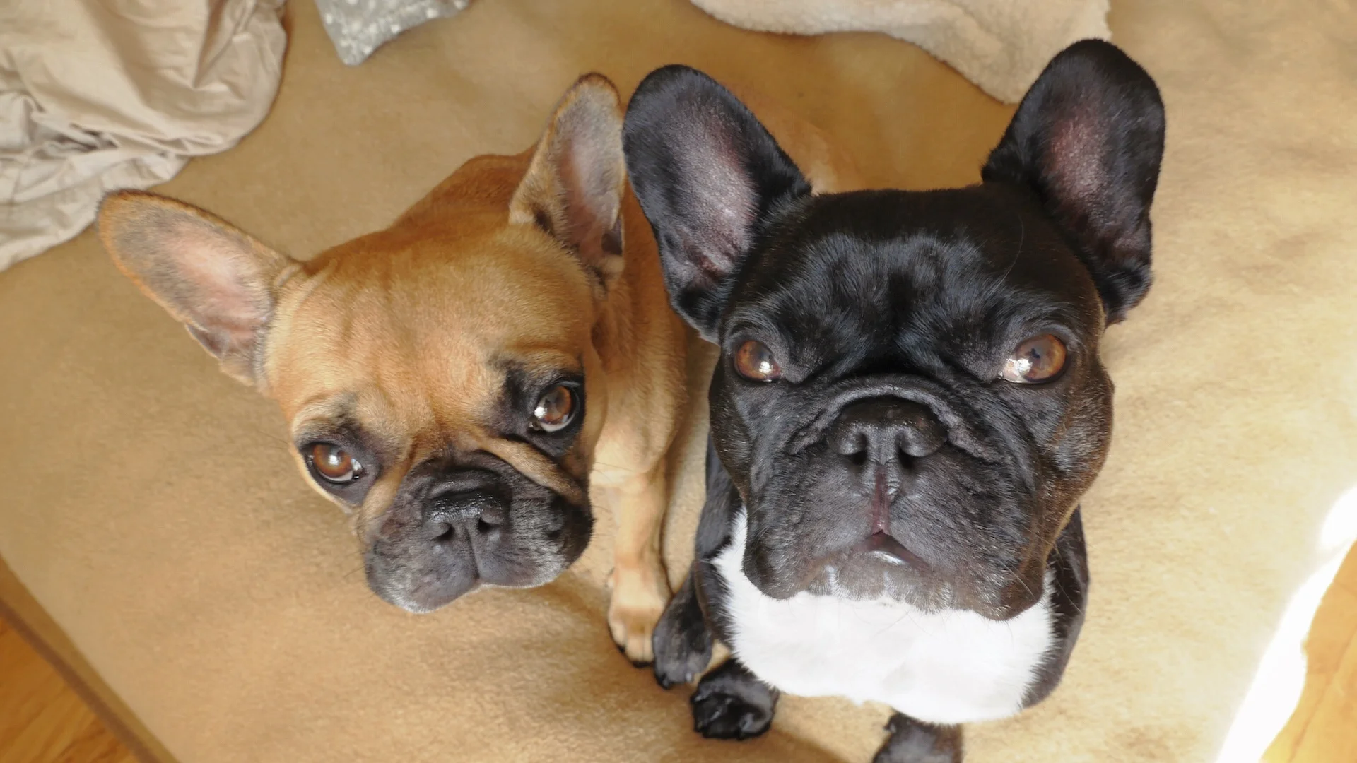 MONDAY MORNINGTIMES (photos and links for Nov. 7) 