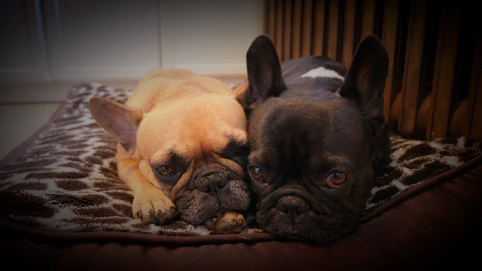 MONDAY NIGHTYNIGHTIMES (3 photos) 