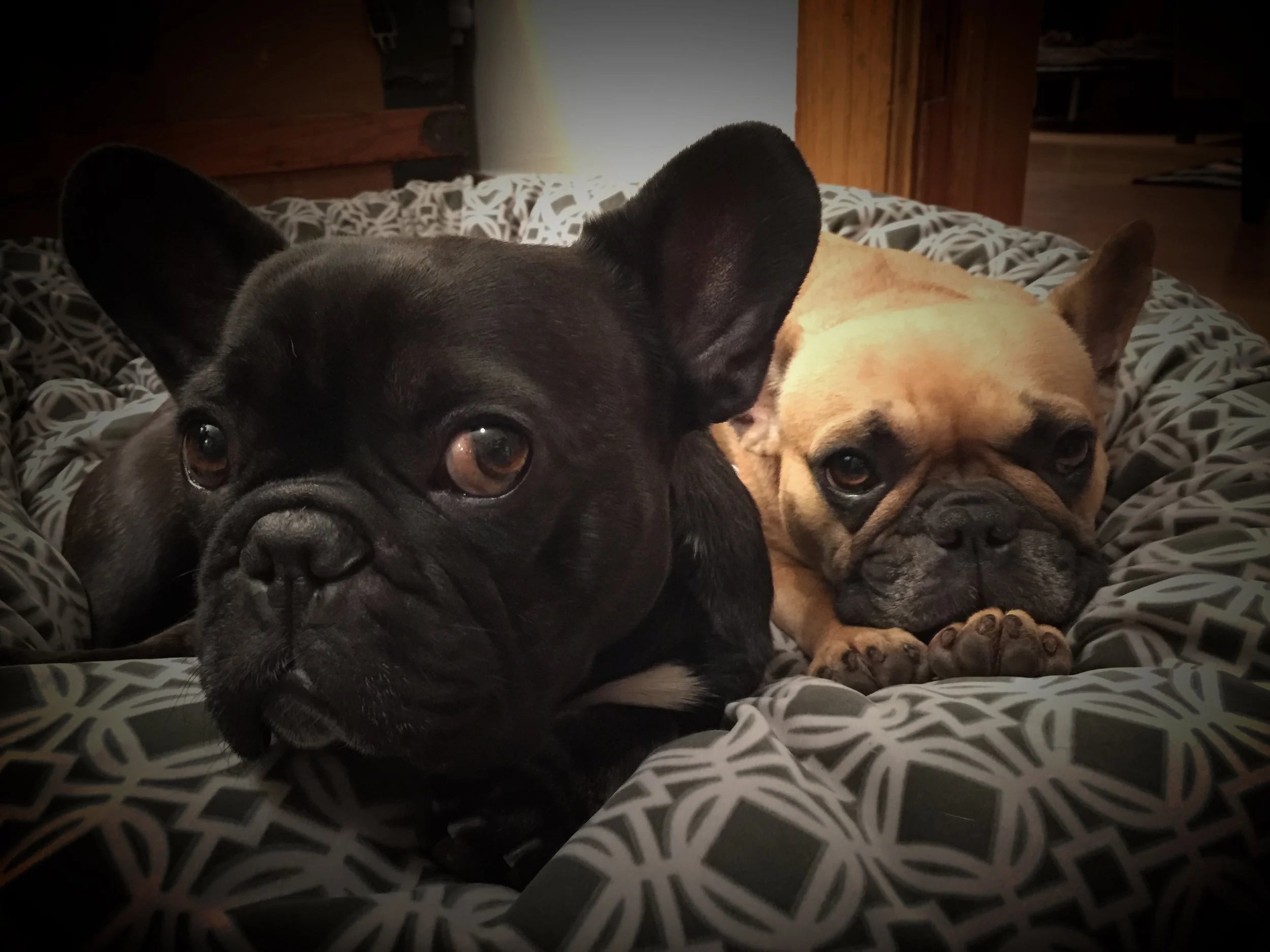 TUESDAY NIGHTYNIGHTIMES (3 photos) 