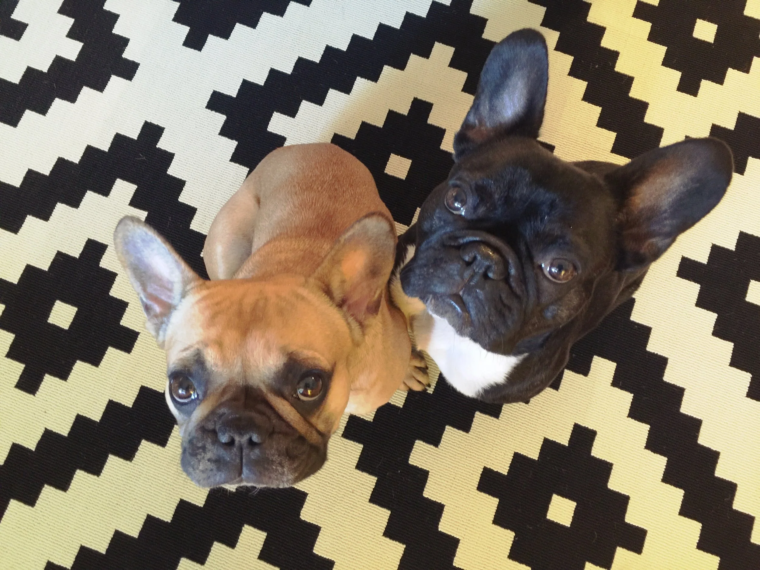 WEDNESDAY MORNINGTIMES (photos and links) 