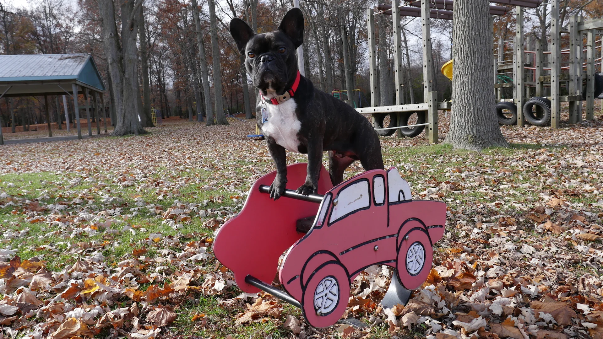 LEISURETIMES IS NOW, EVERYBUDDY!! (7 photos) 