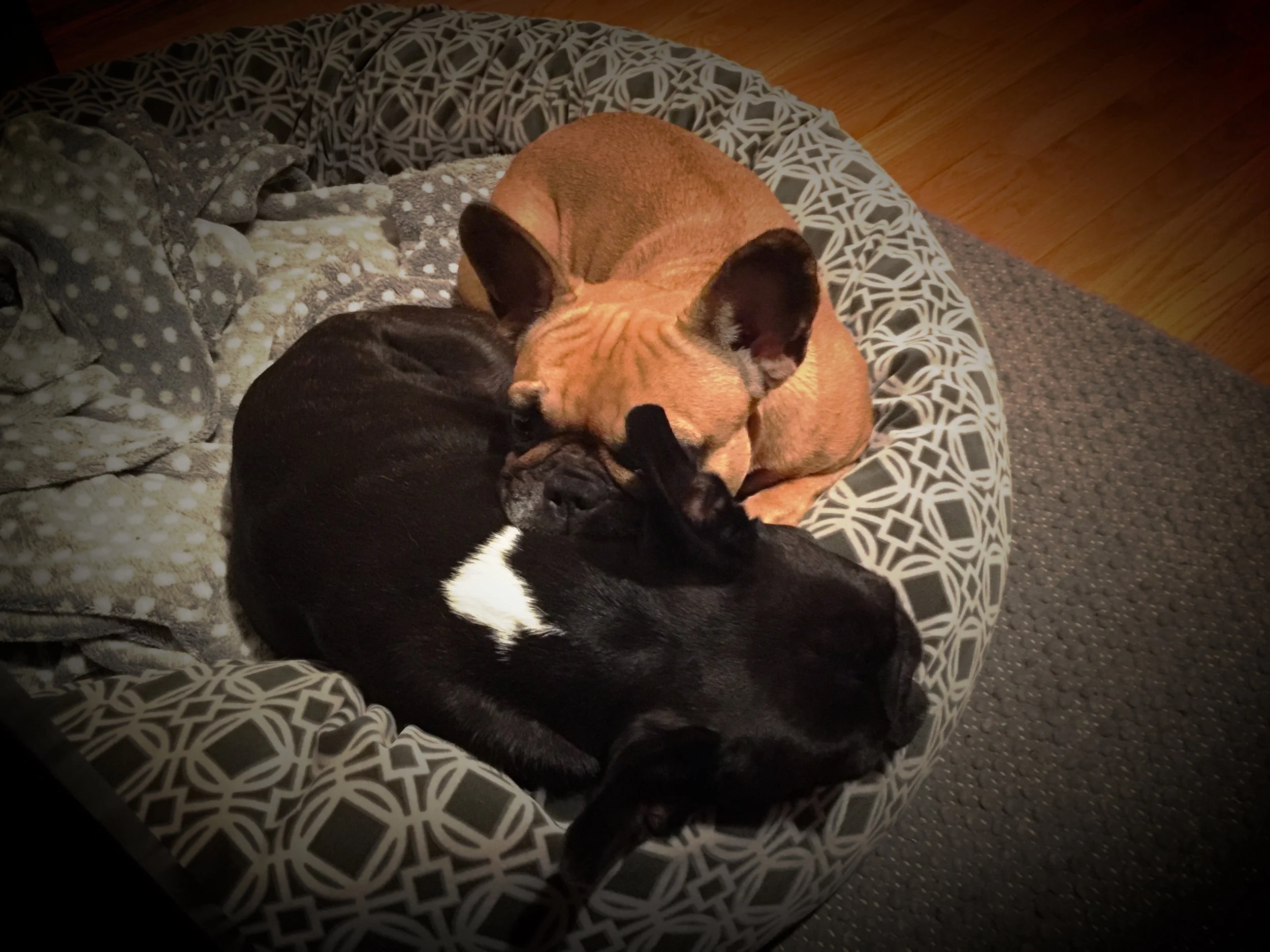 FRIDAY NIGHTYNIGHTIMES (3 photos) 