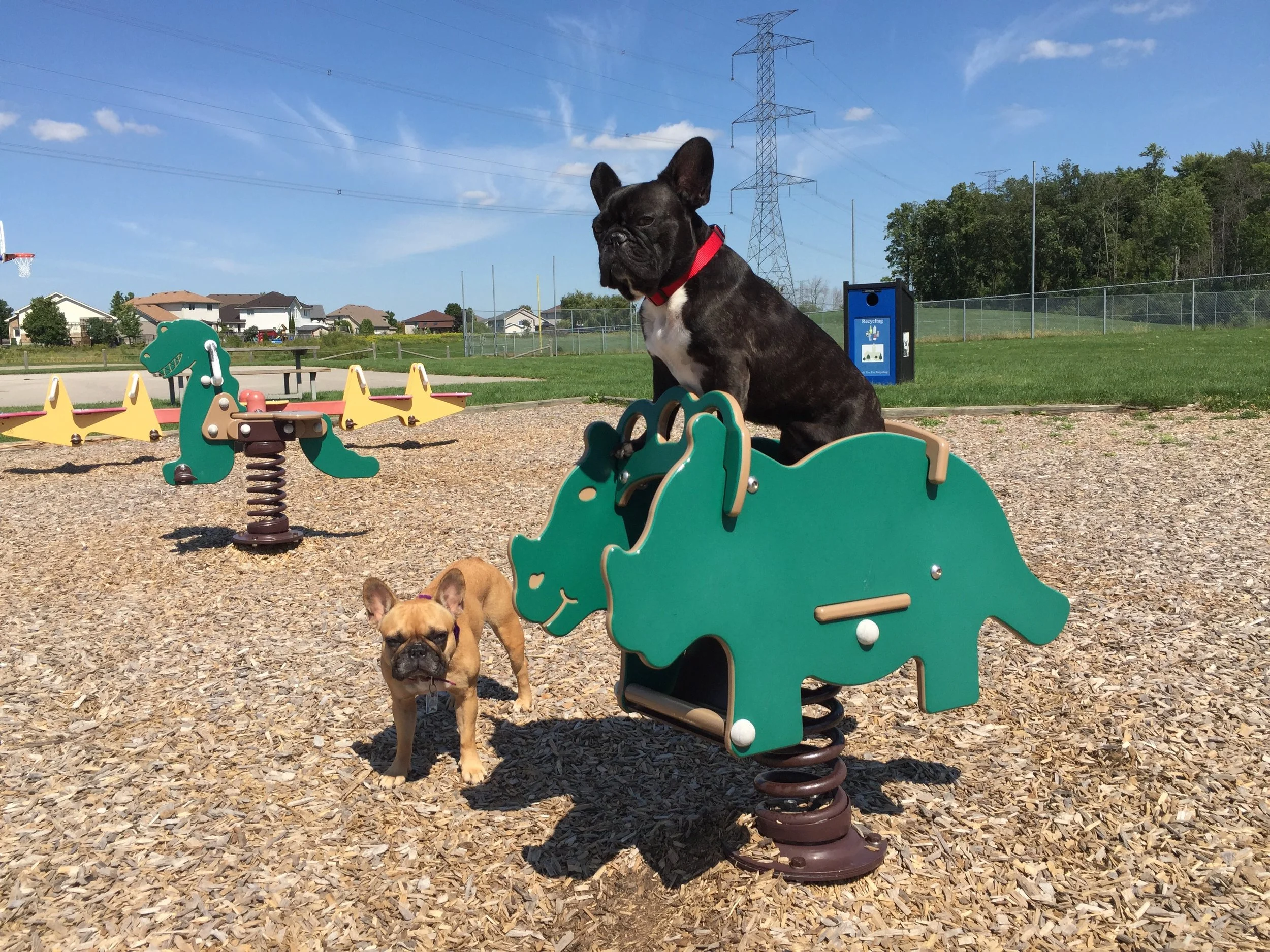 Me plus Mirabelle at Burwell Park!! I am riding a dinolizard, guys!! Yes!! 