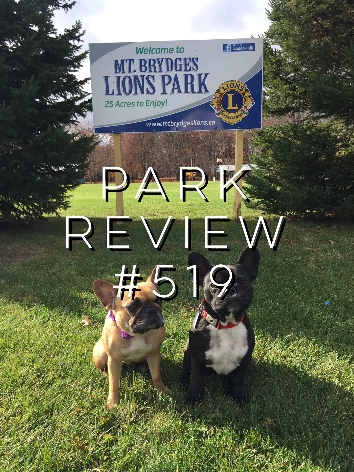 LIONS PARK