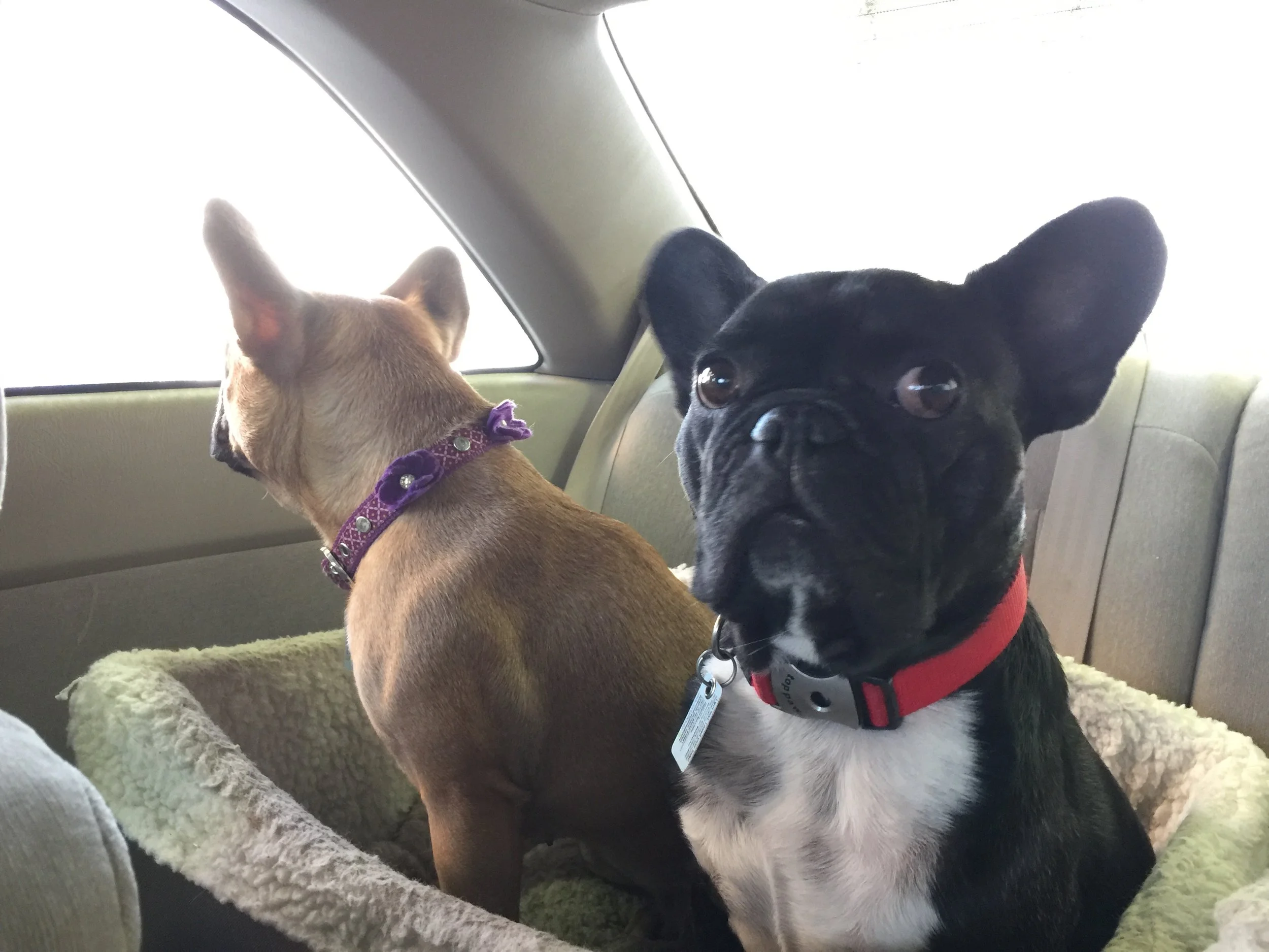 ME PLUS MIRABELLE INNA BUBBLEHOUSE IN SKYROLLERBLOO!! (photos and video) 