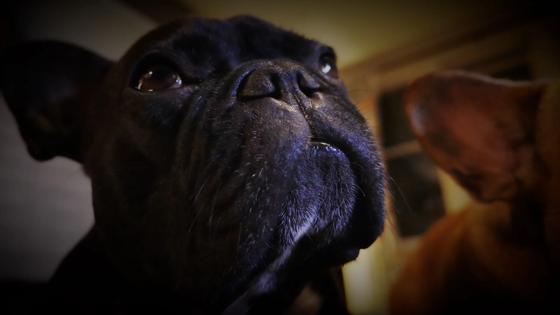 MONDAY NIGHTYNIGHTIMES (4 photos) 