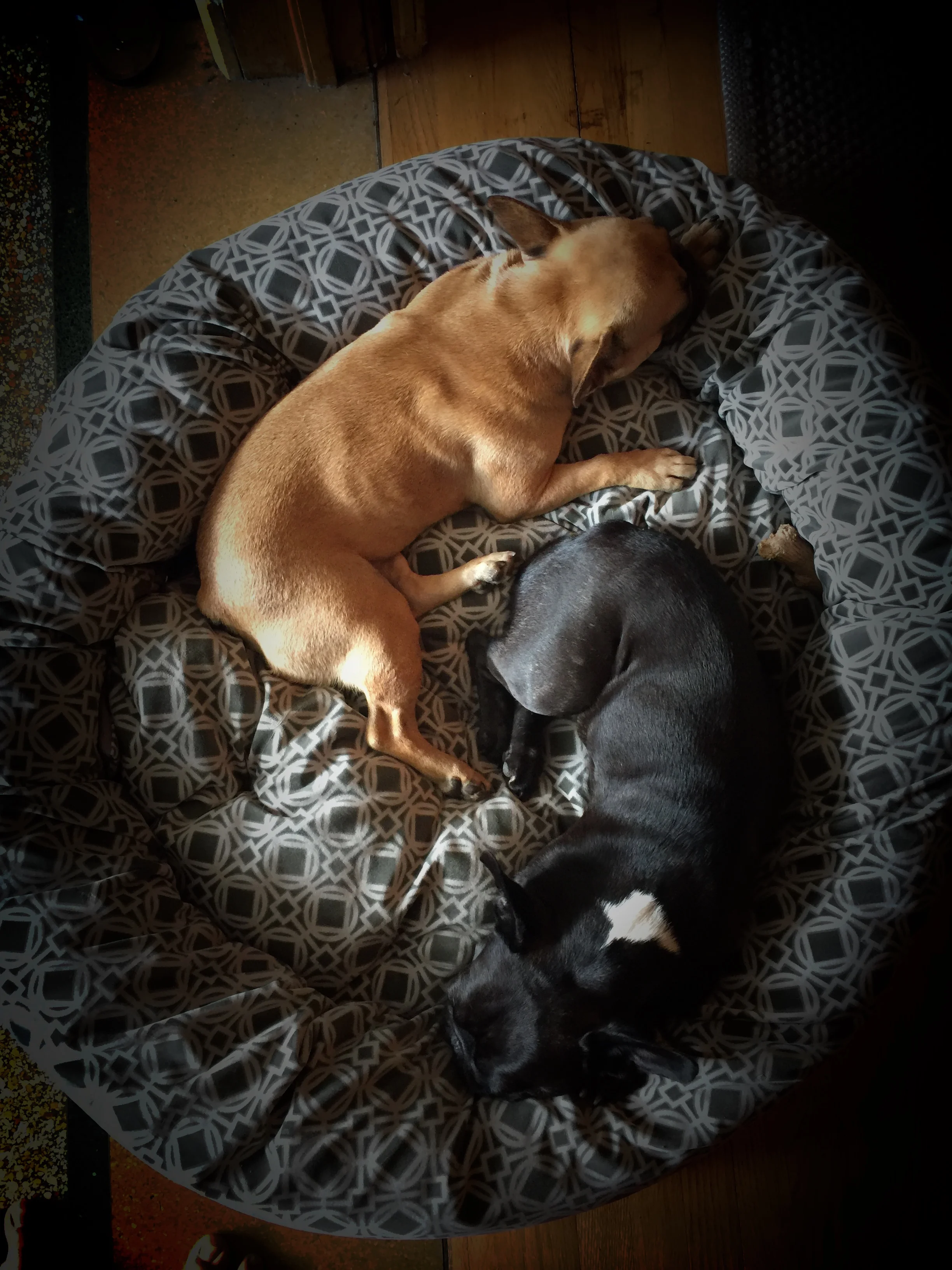 WEDNESDAY NIGHTYNIGHTIMES (3 photos)