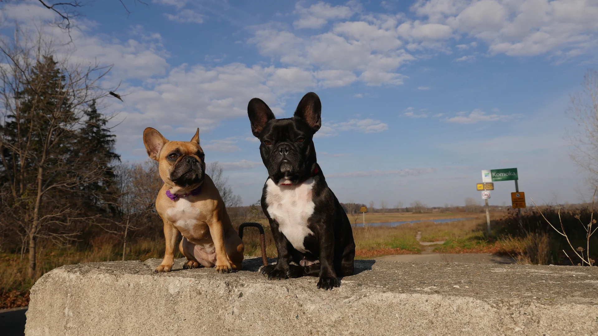 THURSDAY MORNINGTIMES (photos and links) 