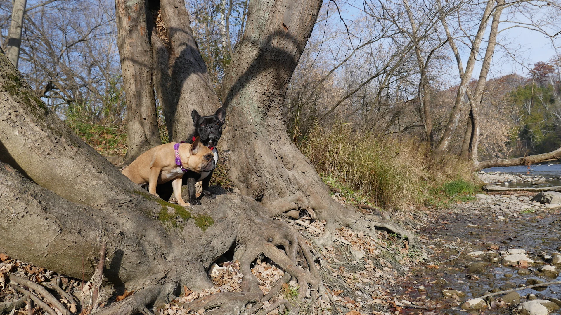 FRIDAY MORNINGTIMES (photos and links) 