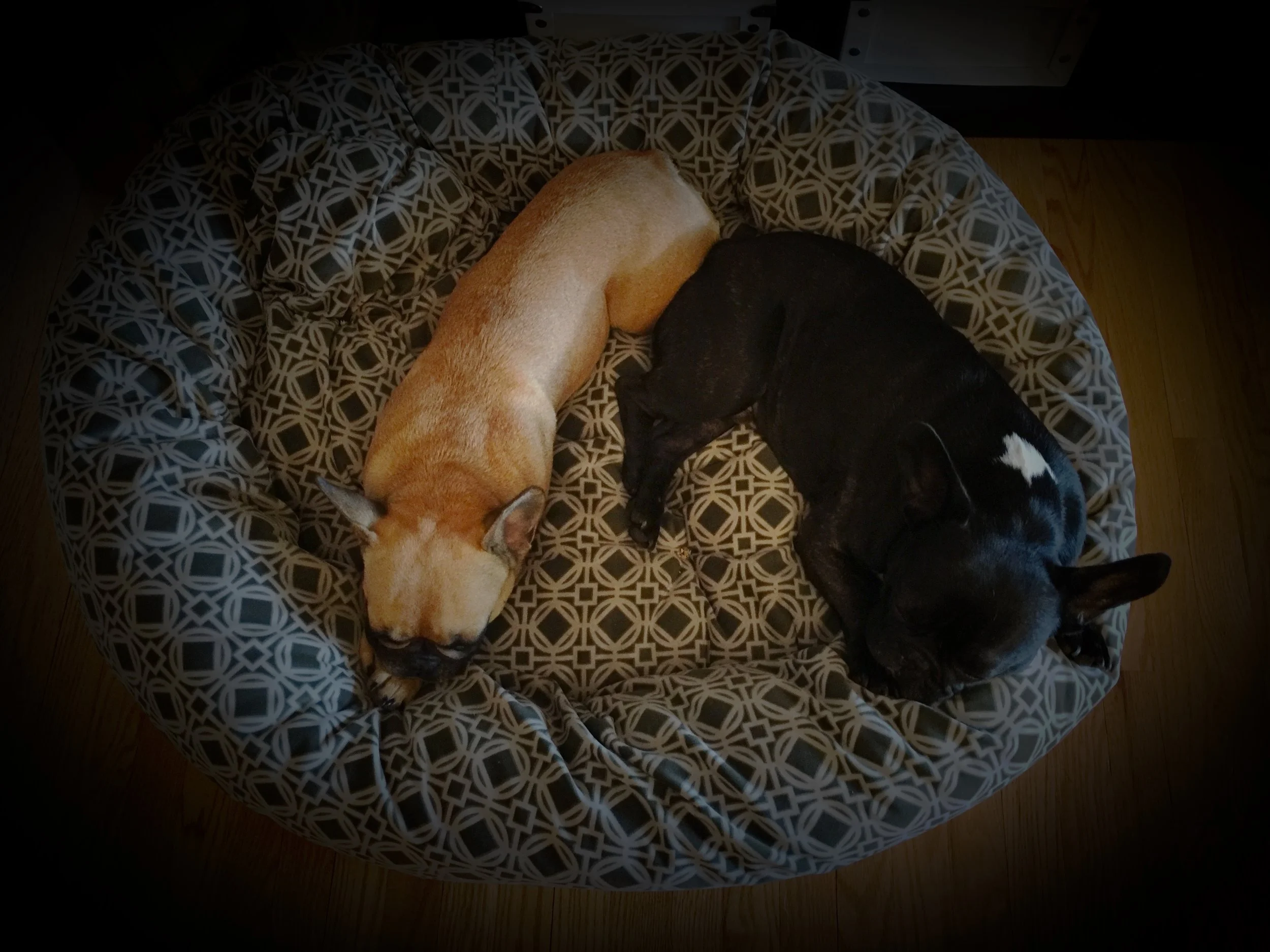 FRIDAY NIGHTYNIGHTIMES!! (3 photos) 