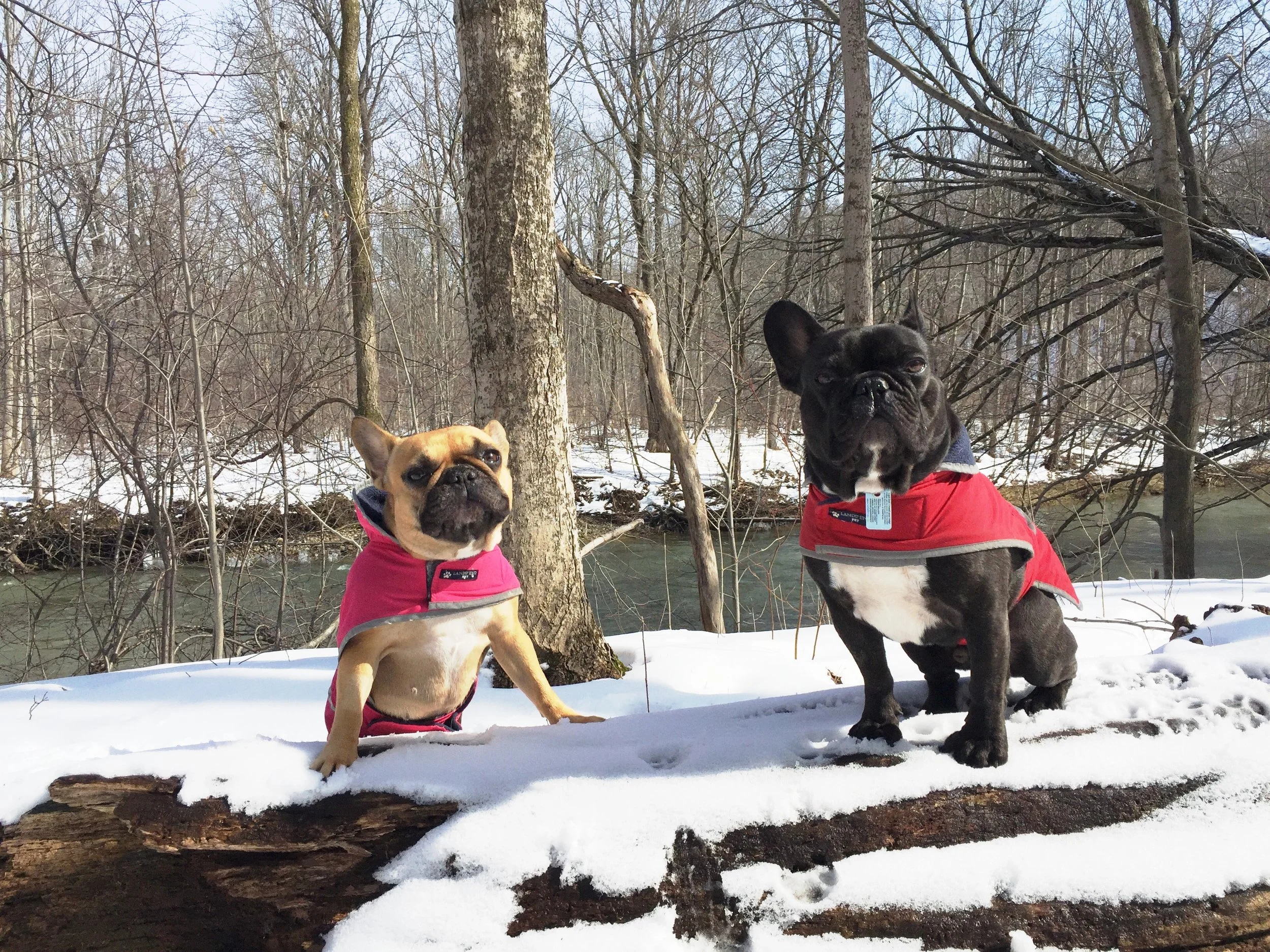 MONDAY MORNINGTIMES (photos and links) 