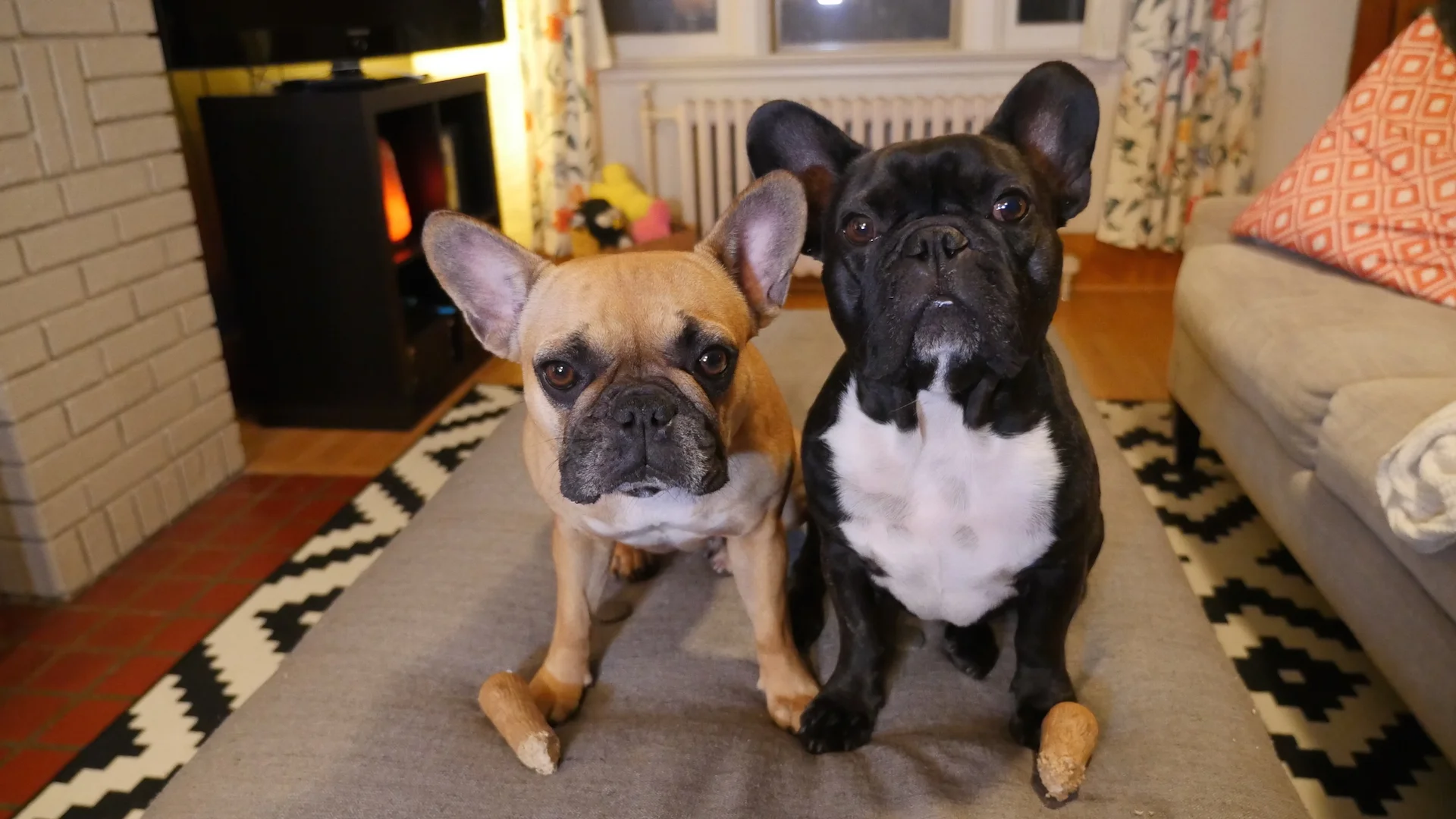 Tuesday Morningtimes (photos and links) 