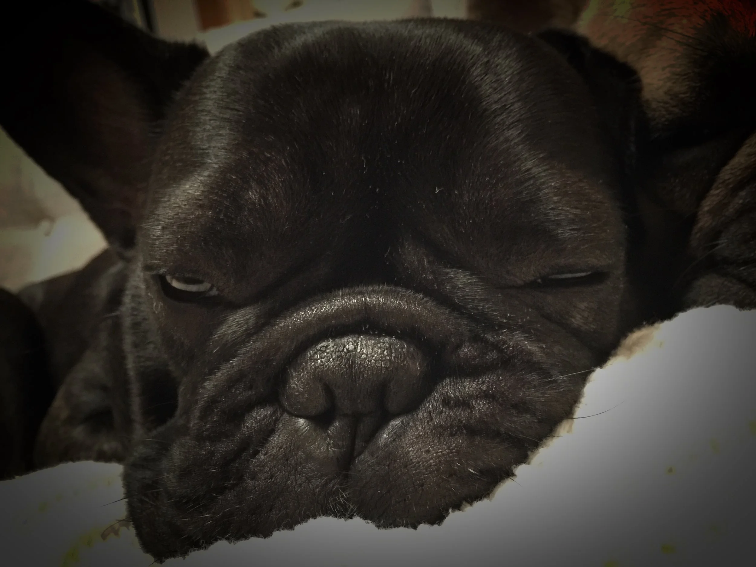 MONDAY NIGHTYNIGHTIMES (3 photos) 